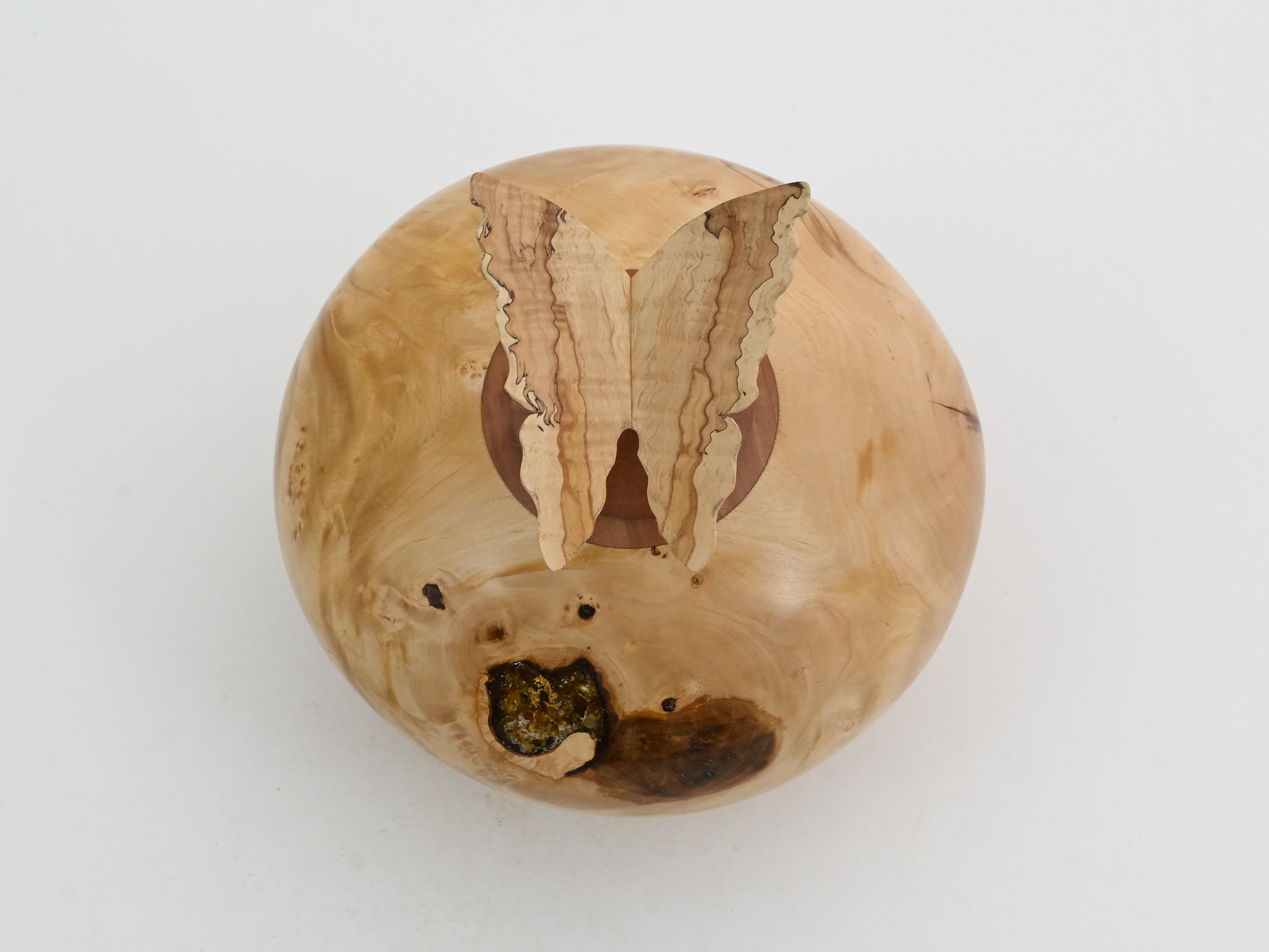 481 Kastanje met vlinder - 1L