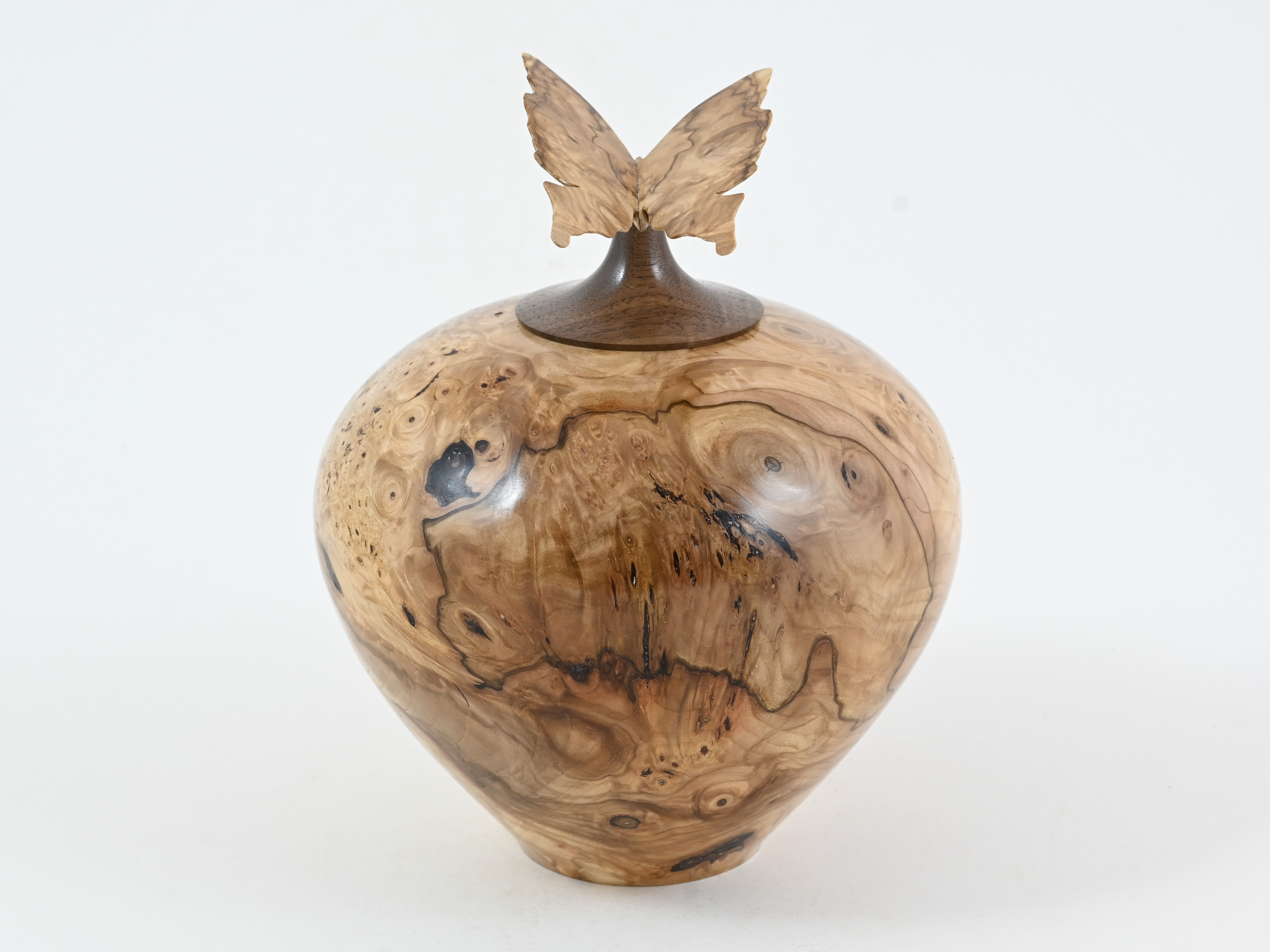 481 Kastanje met vlinder - 1L