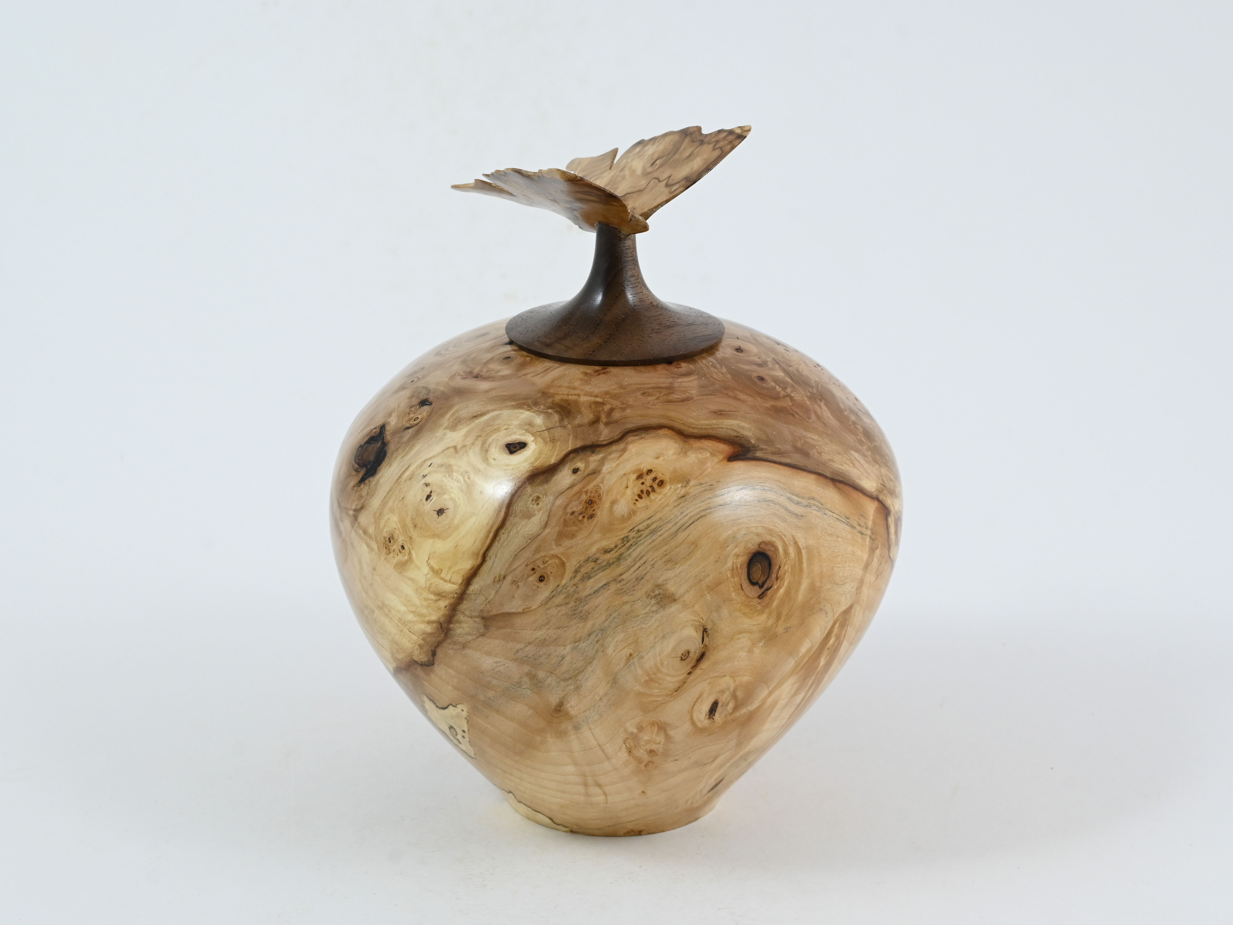 481 Kastanje met vlinder - 1L