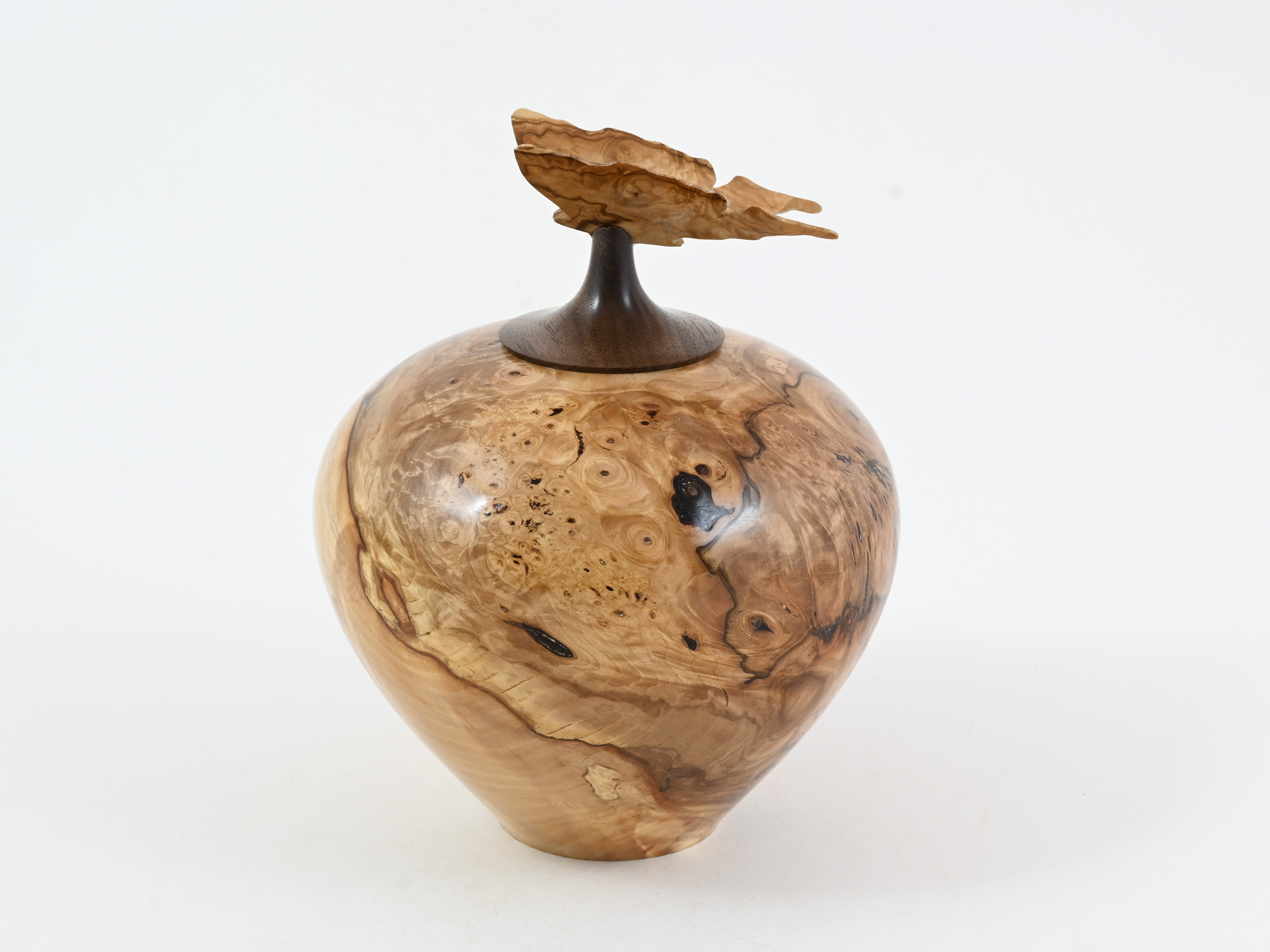 481 Kastanje met vlinder - 1L