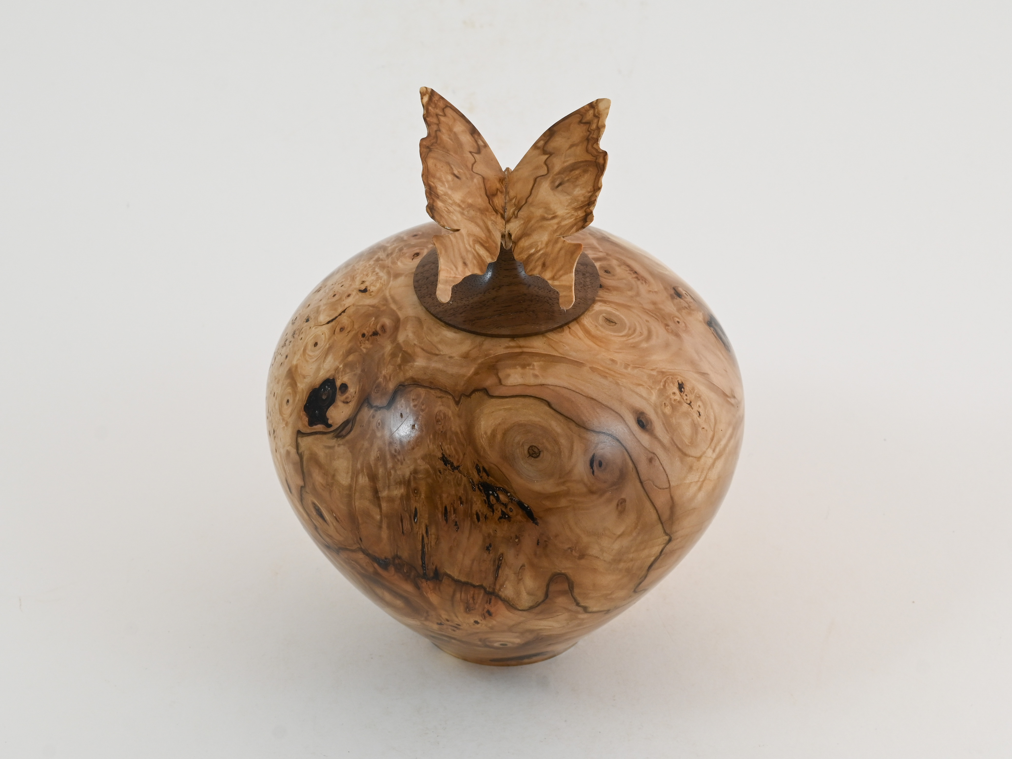 481 Kastanje met vlinder - 1L