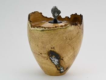 B5814055 8DAD 4F49 AA53 5F0408CC5901