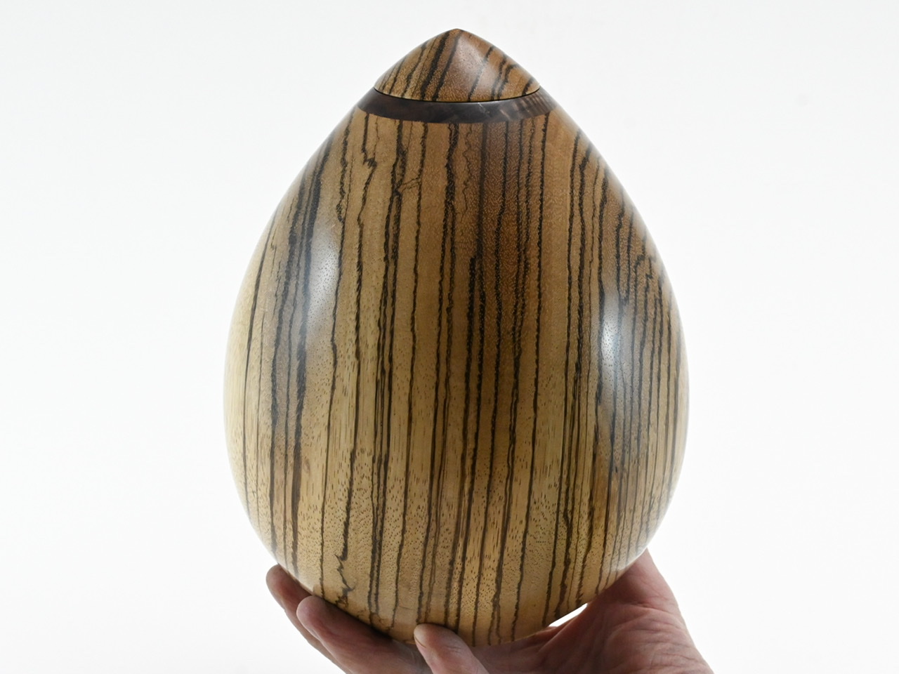 512 Zebrano - 2,8 liter