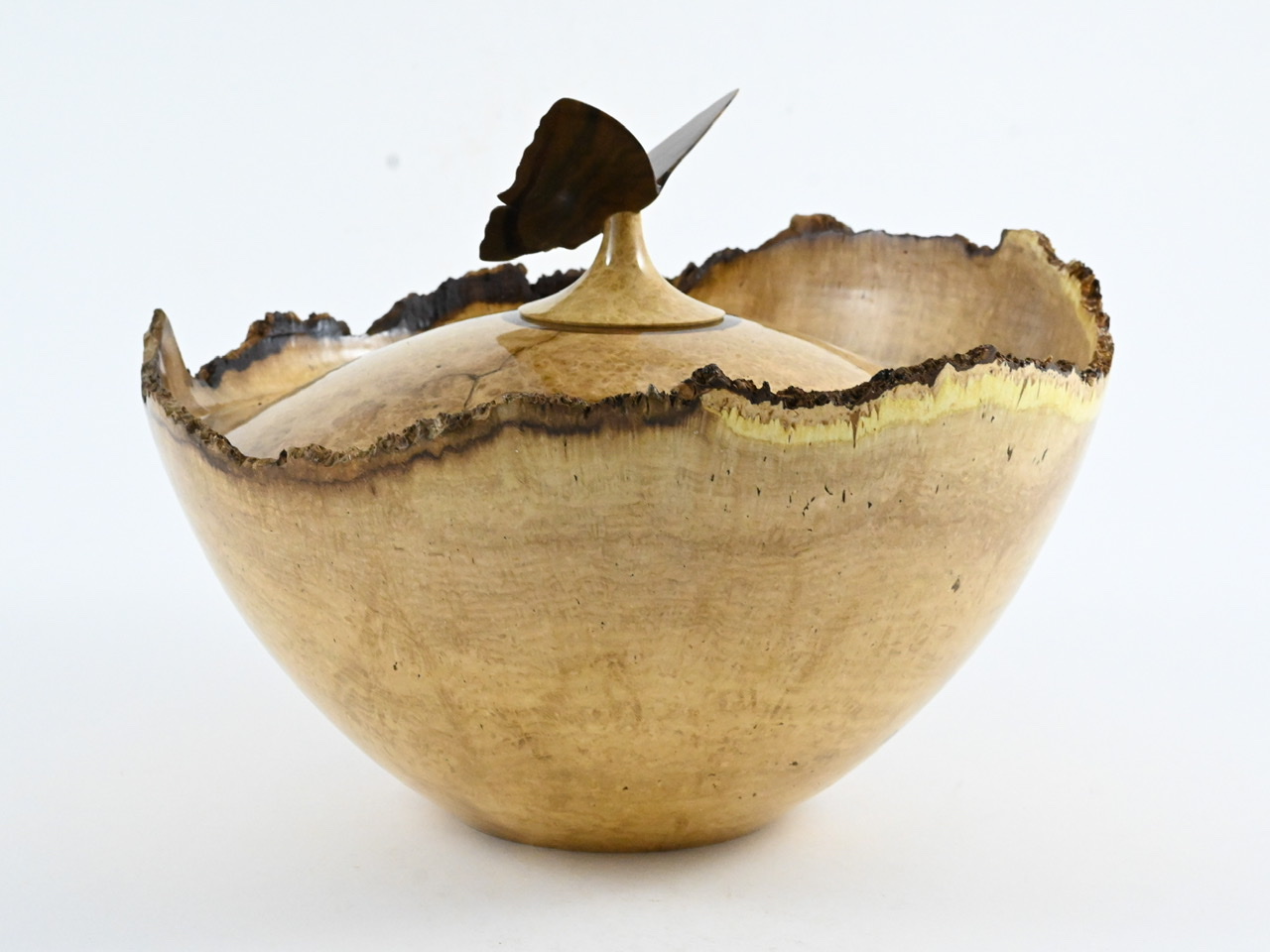 513 Robinia - 3,4 liter