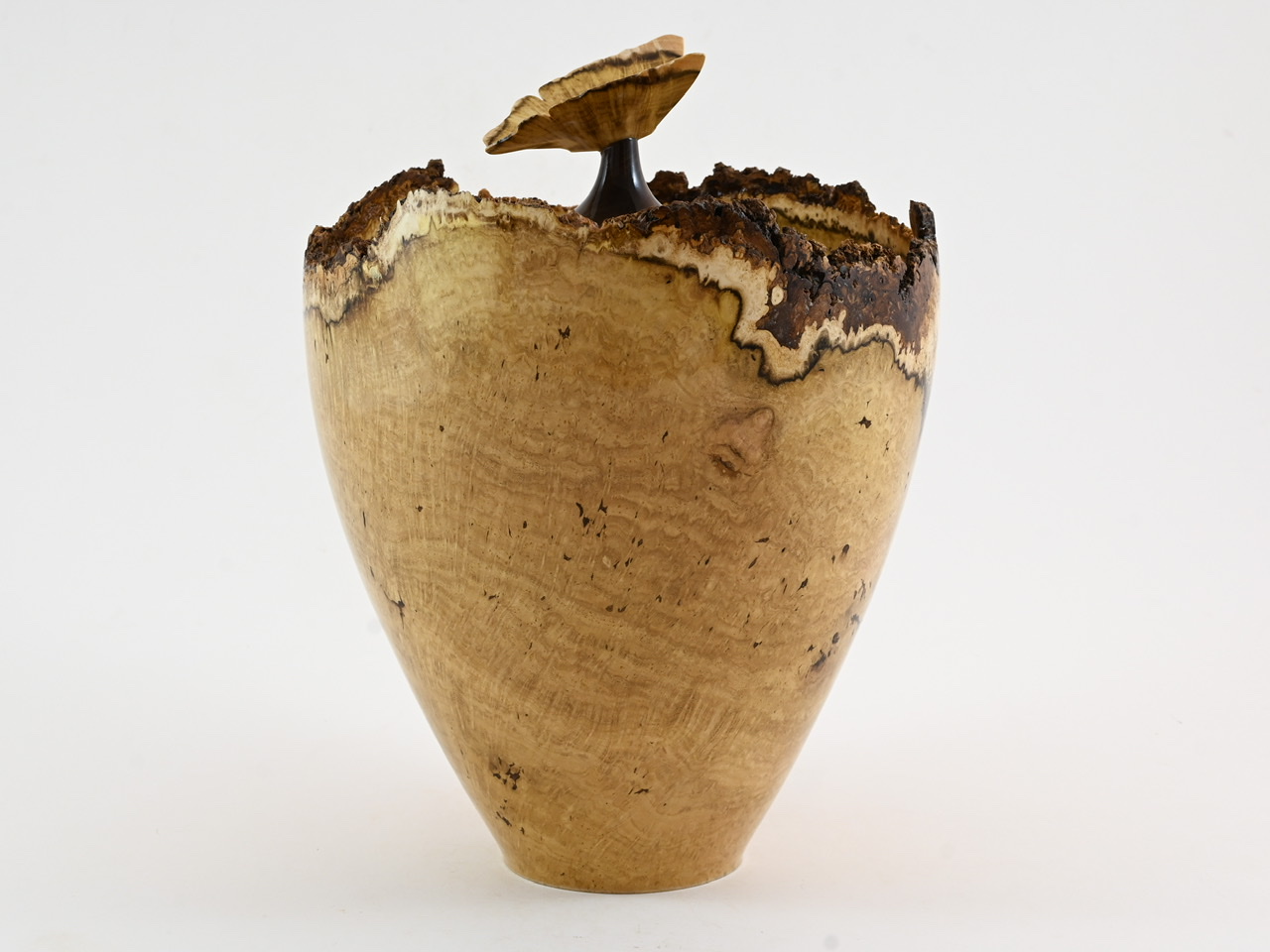 553 robinia - 4 liter