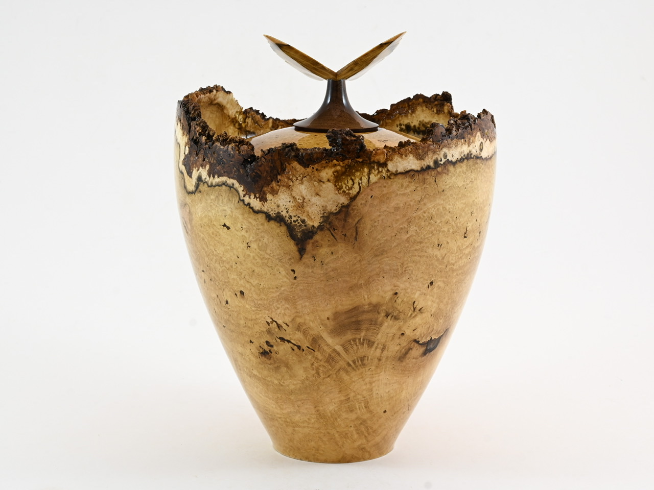 553 robinia - 4 liter