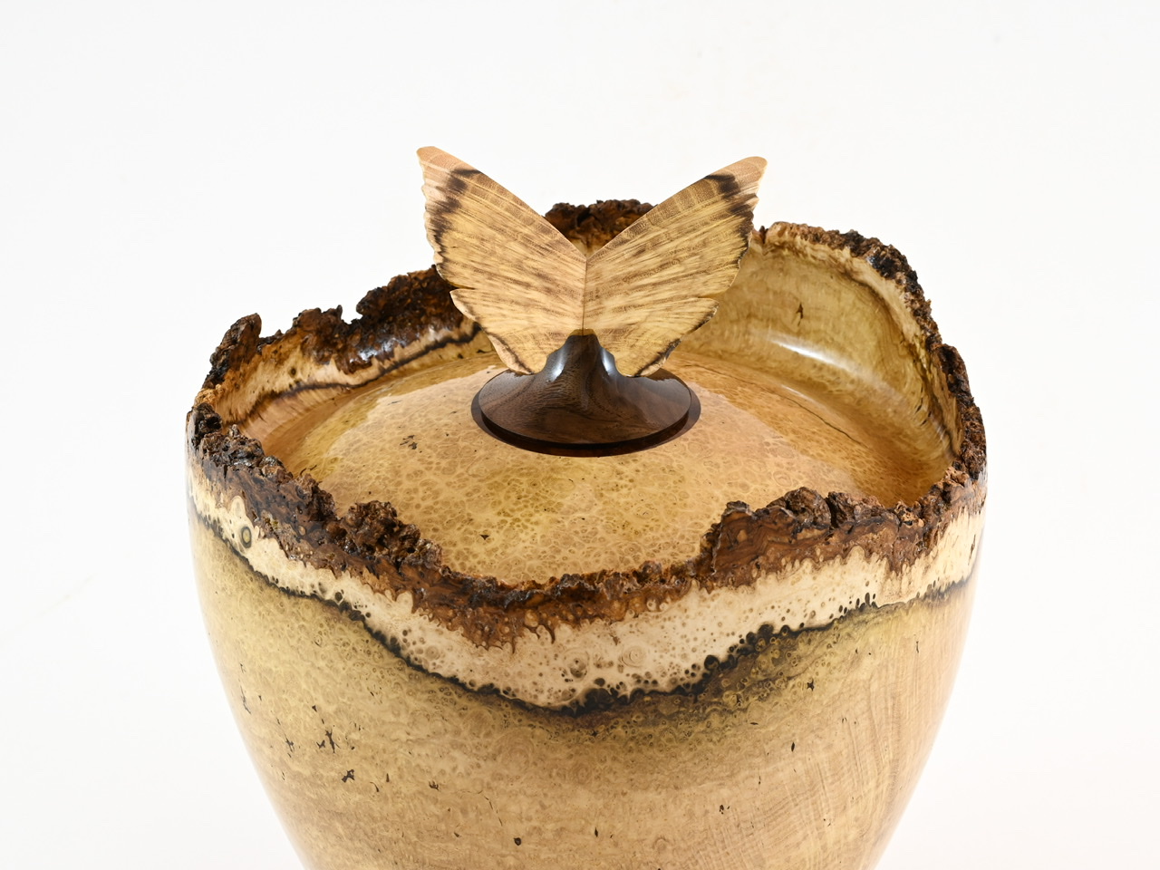 553 robinia - 4 liter