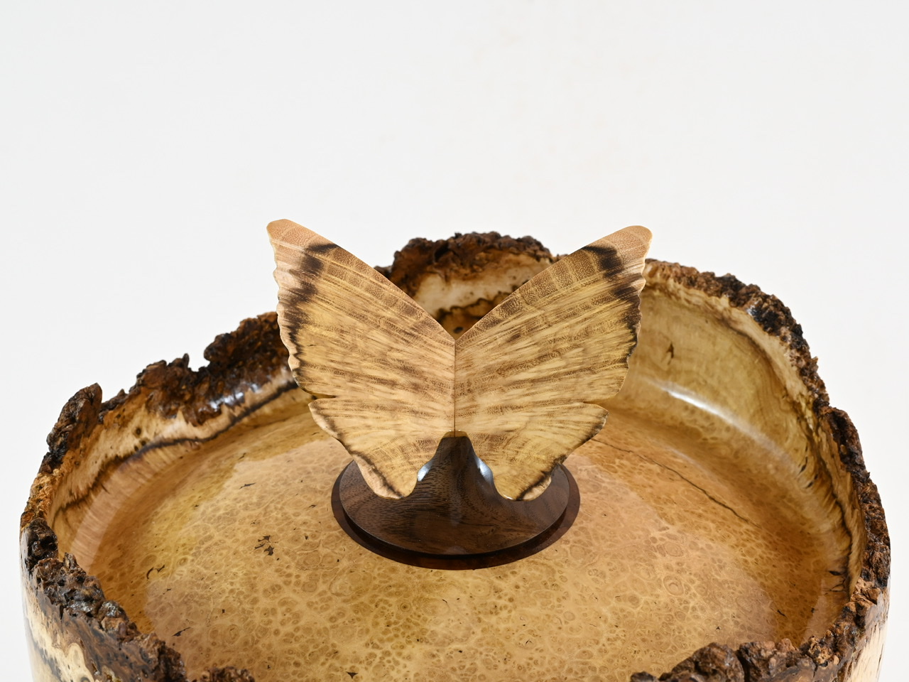 553 robinia - 4 liter