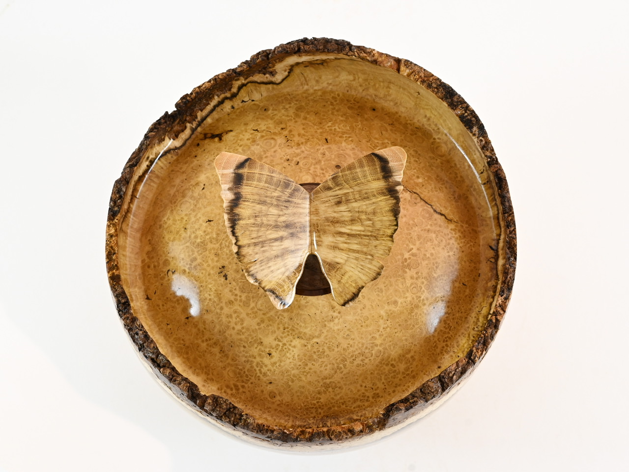 553 robinia - 4 liter