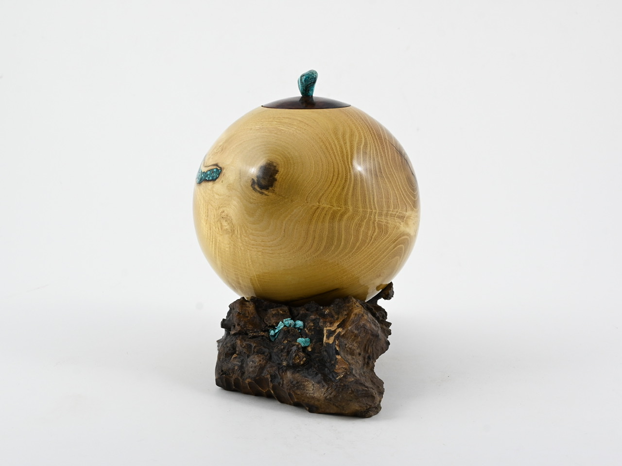 560 robinia - 2,2 liter