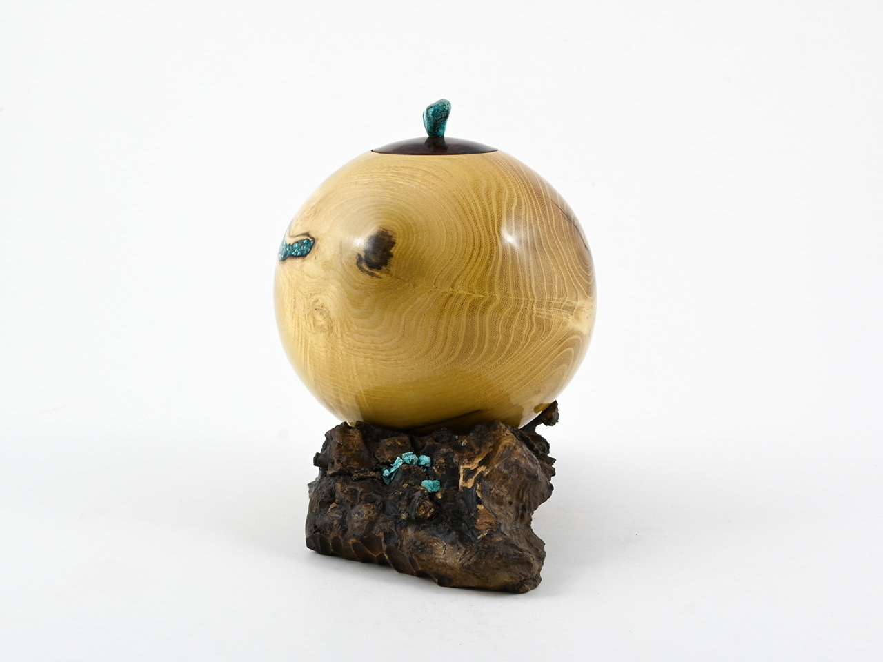 560 robinia - 2,2 liter