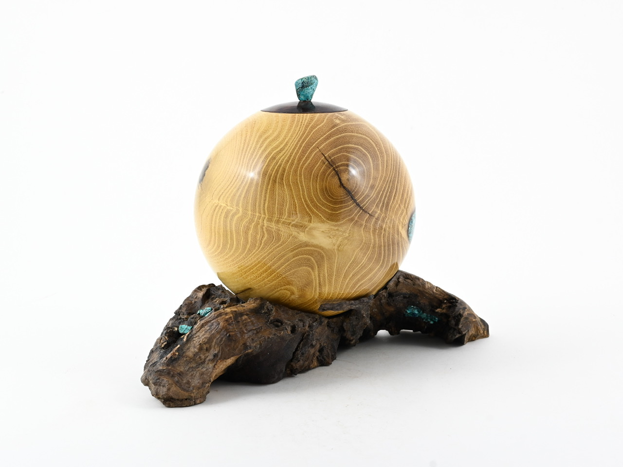 560 robinia - 2,2 liter