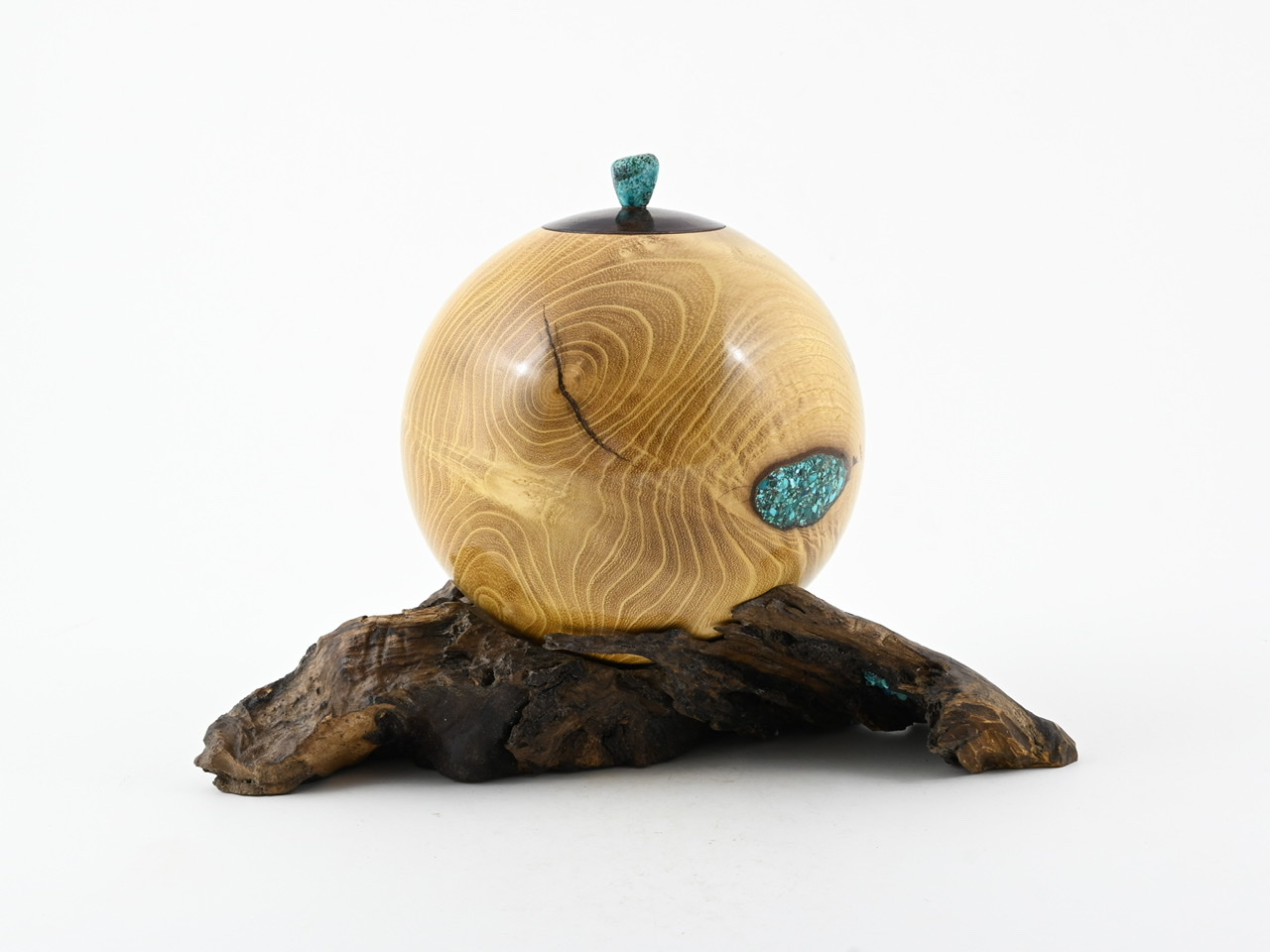 560 robinia - 2,2 liter