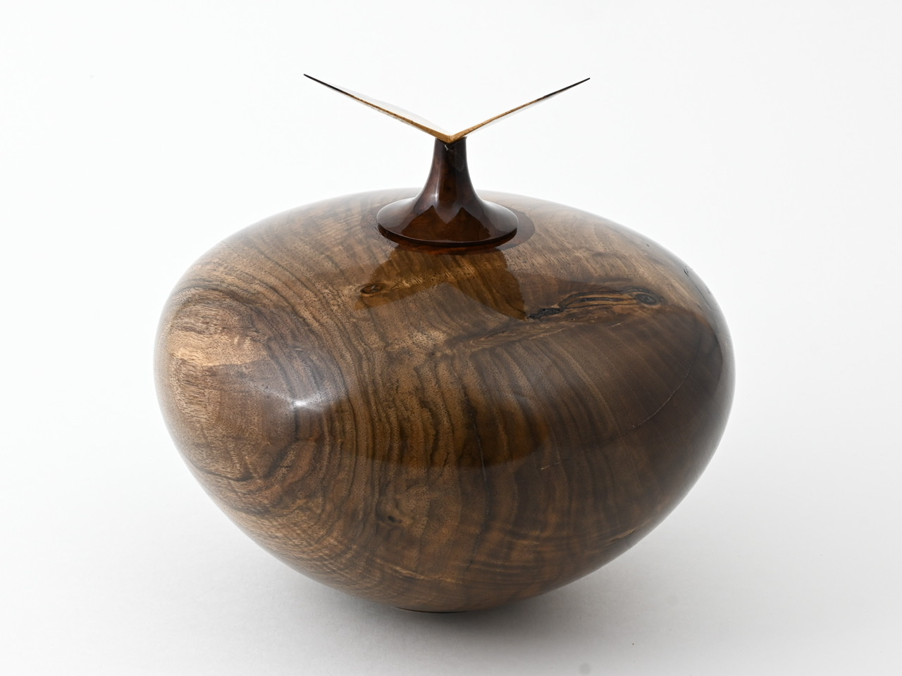 580 walnoot - 4 liter