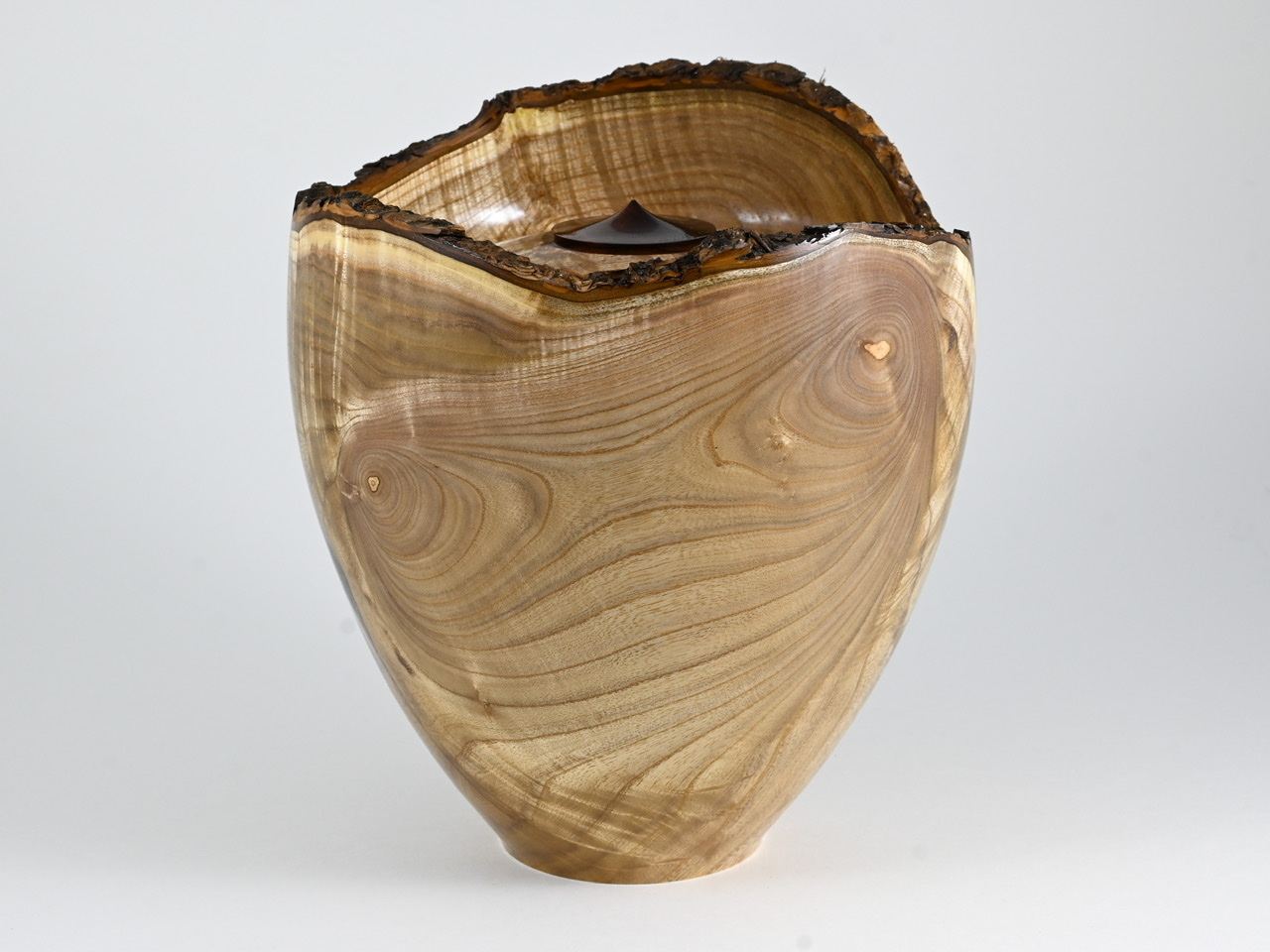 584 catalpa - 4 liter