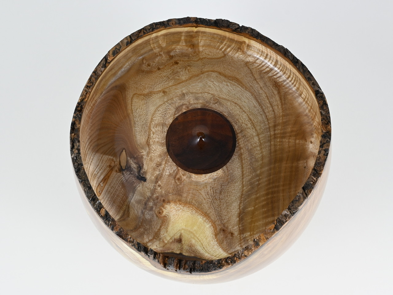 584 catalpa - 4 liter