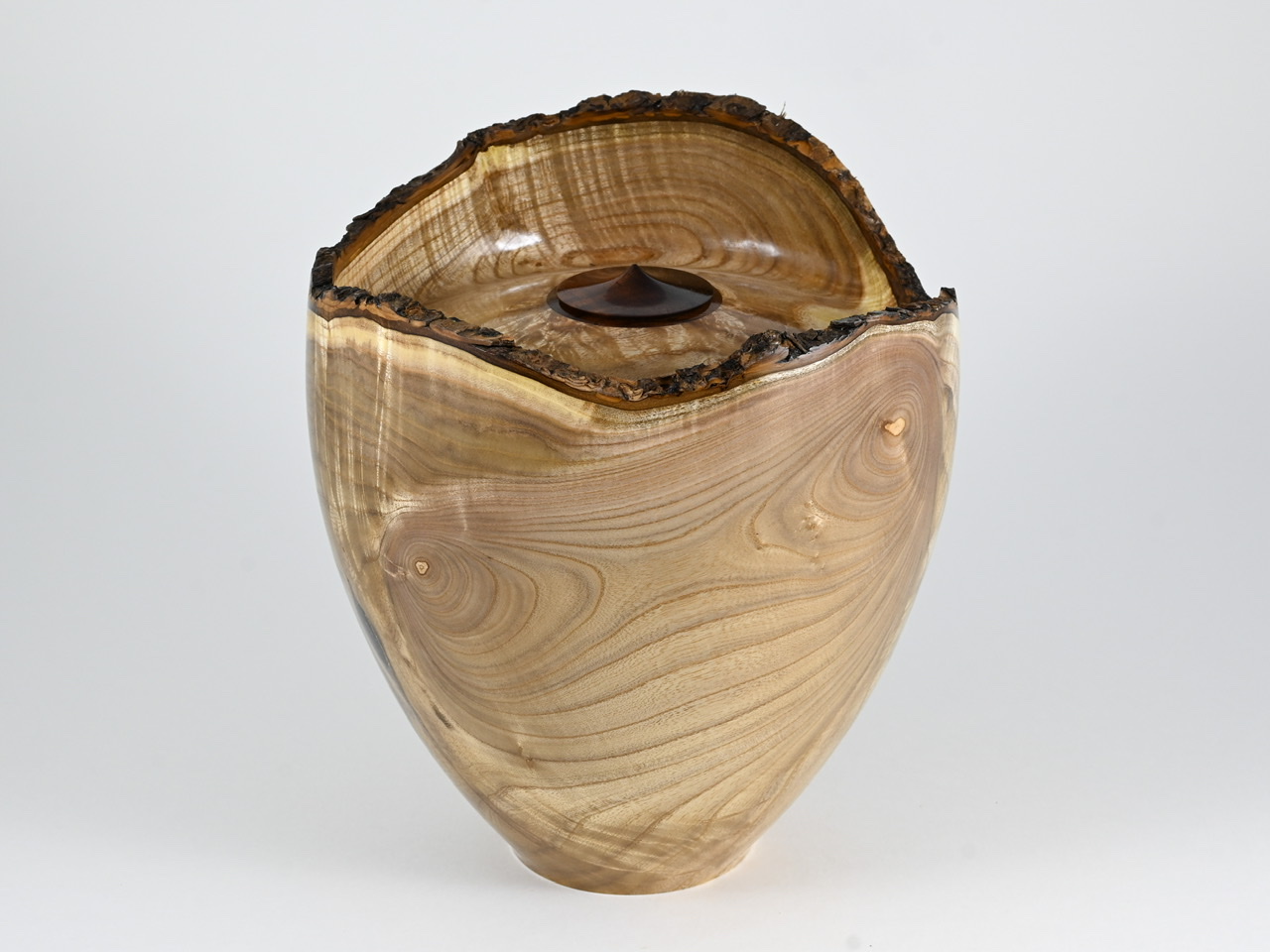 584 catalpa - 4 liter