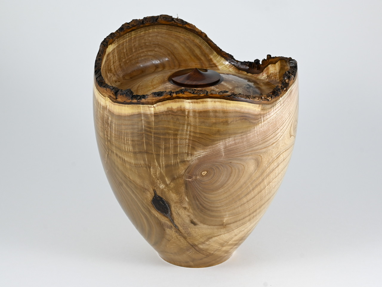 584 catalpa - 4 liter