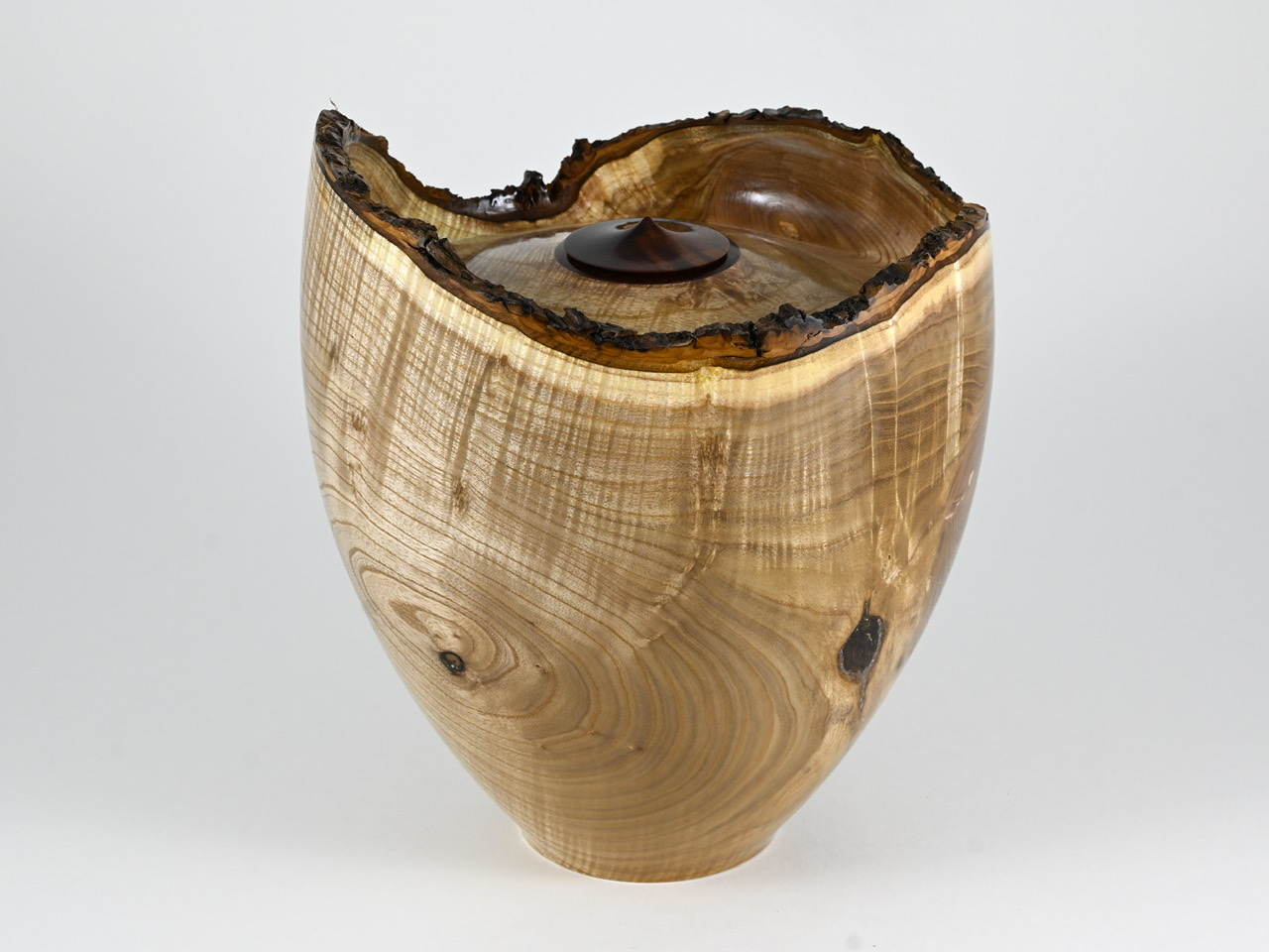 584 catalpa - 4 liter