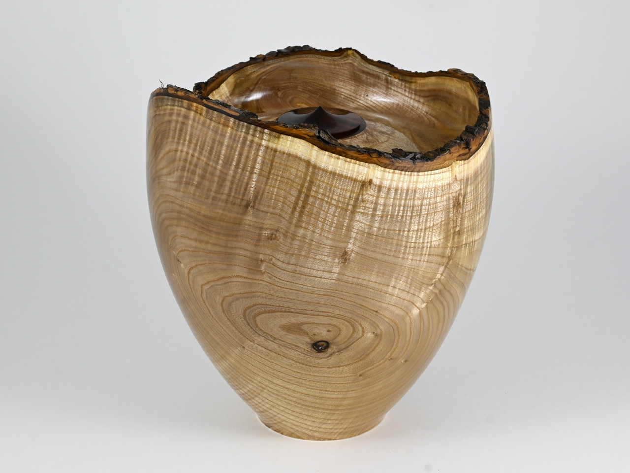 584 catalpa - 4 liter