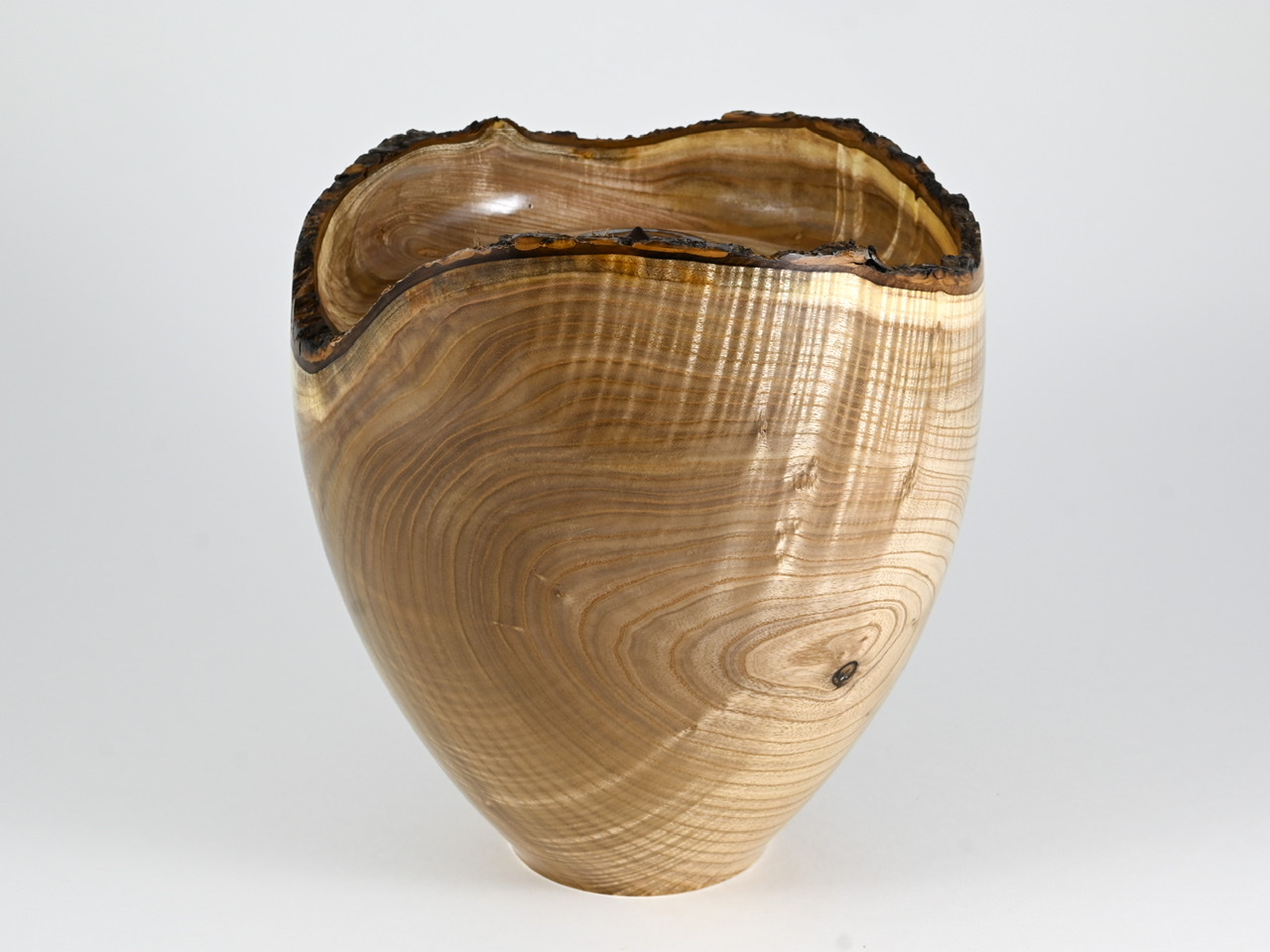 584 catalpa - 4 liter