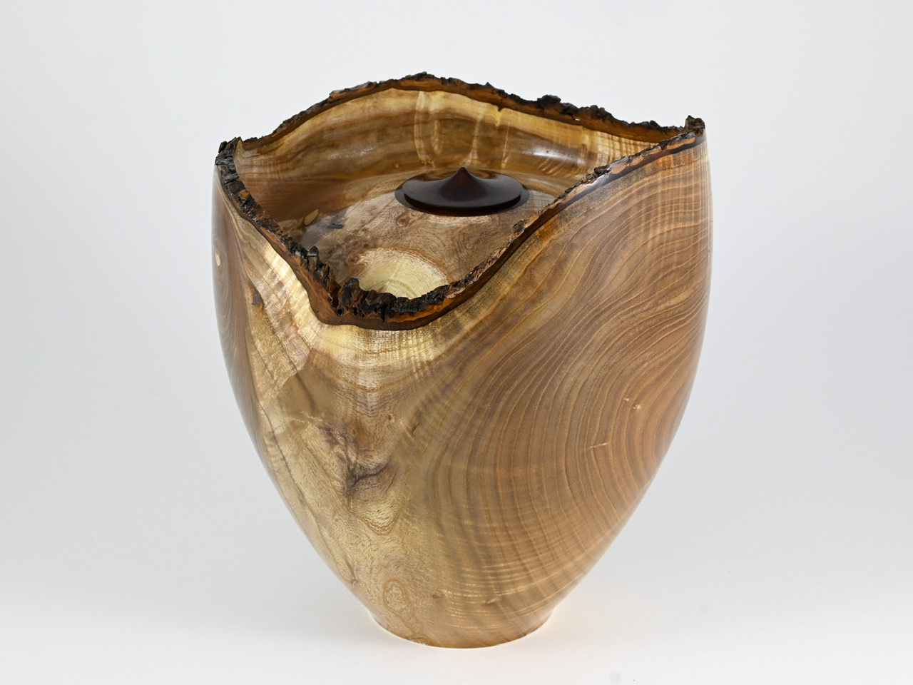 584 catalpa - 4 liter