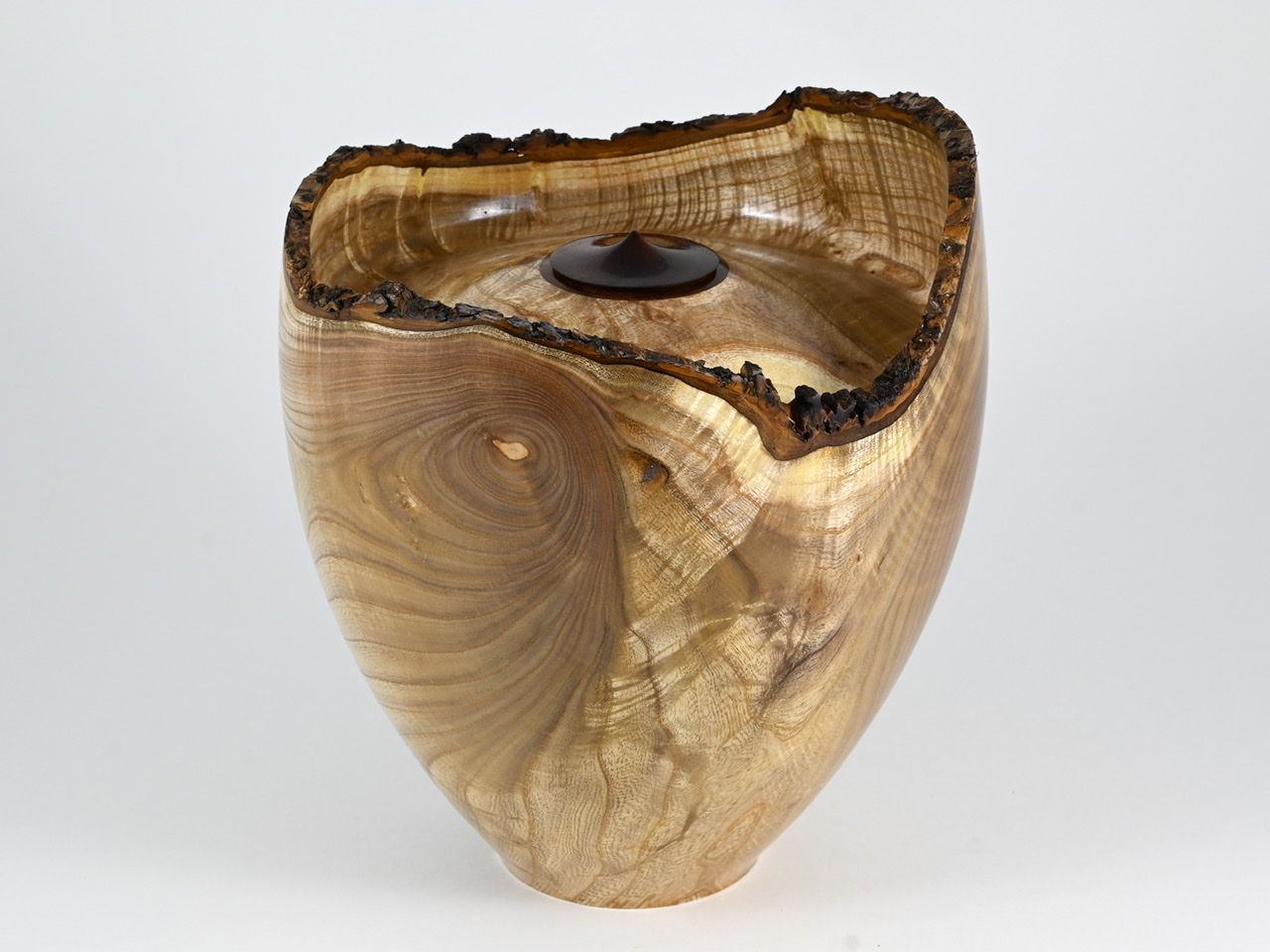 584 catalpa - 4 liter