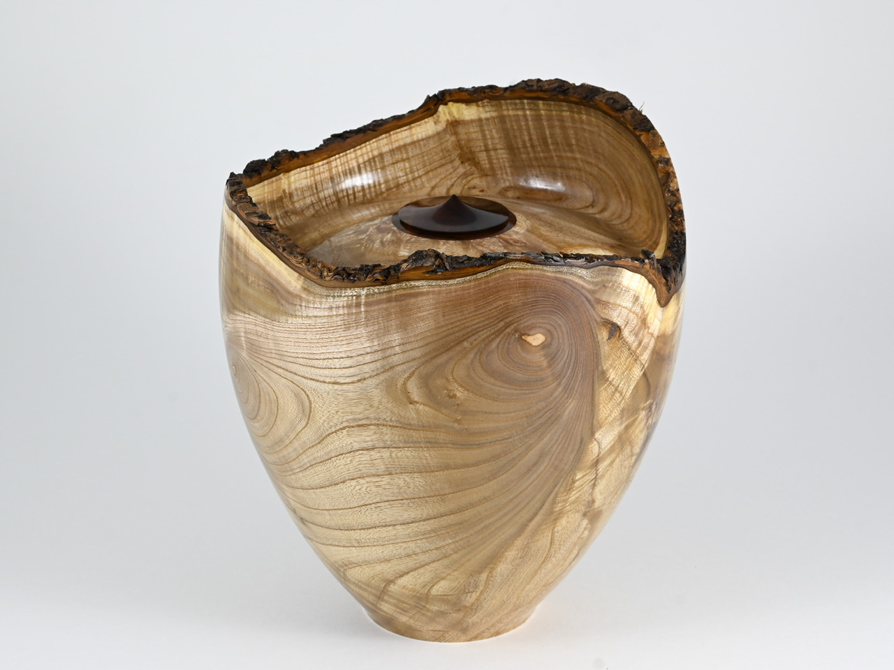 584 catalpa - 4 liter