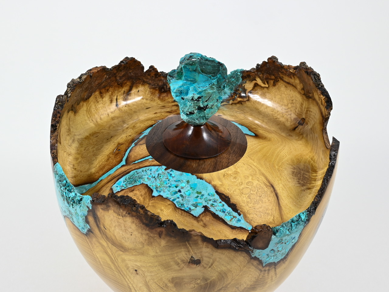 594 robinia - 3,1 liter