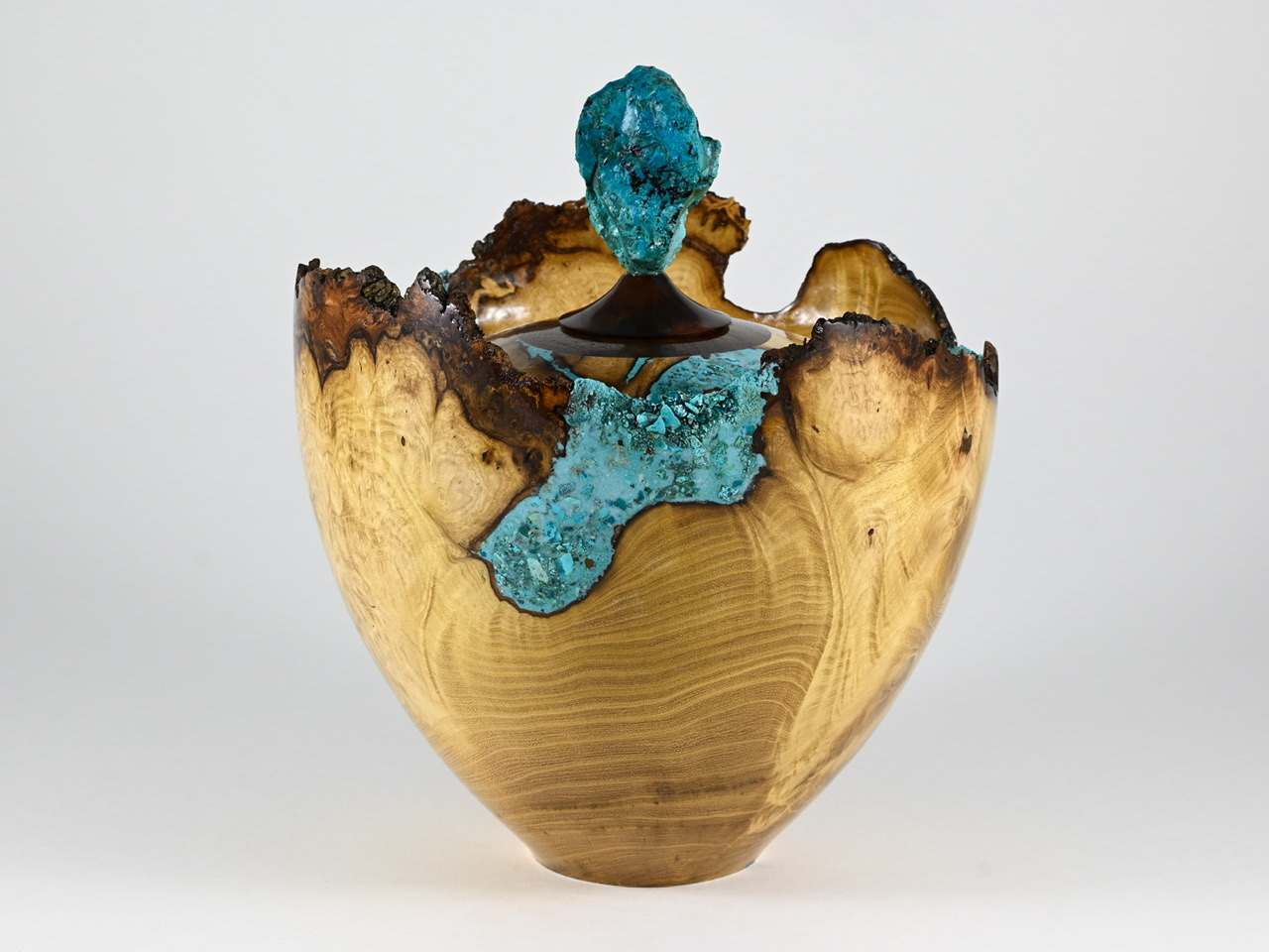 594 robinia - 3,1 liter