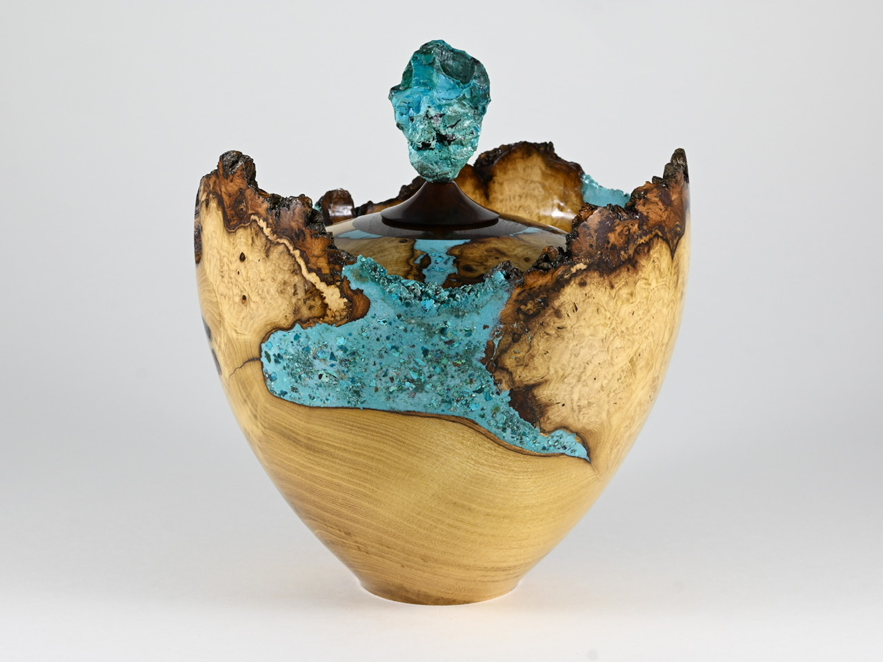 594 robinia - 3,1 liter