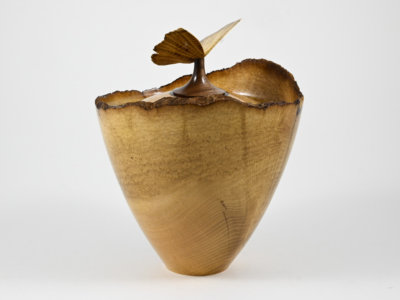 595 robinia - 3,3 liter