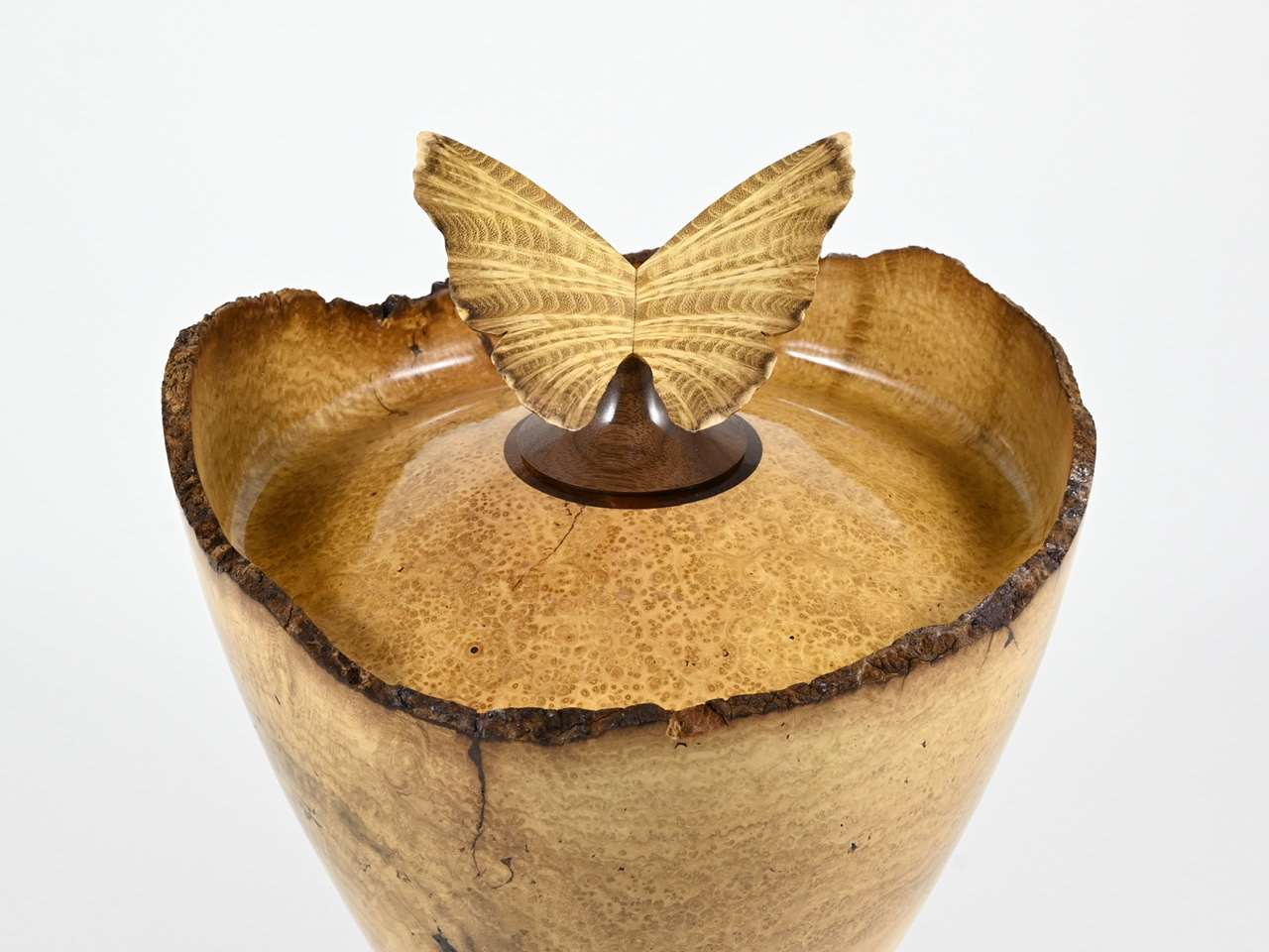 595 robinia - 3,3 liter