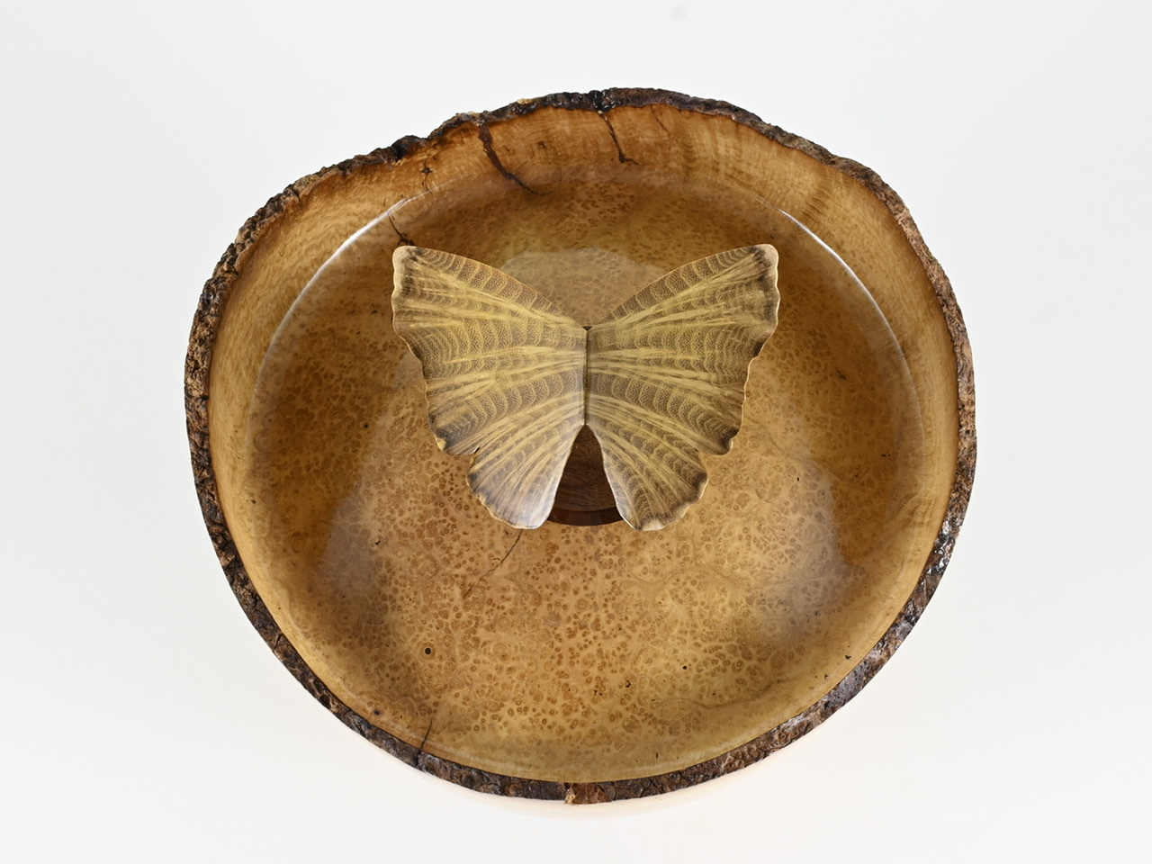 595 robinia - 3,3 liter