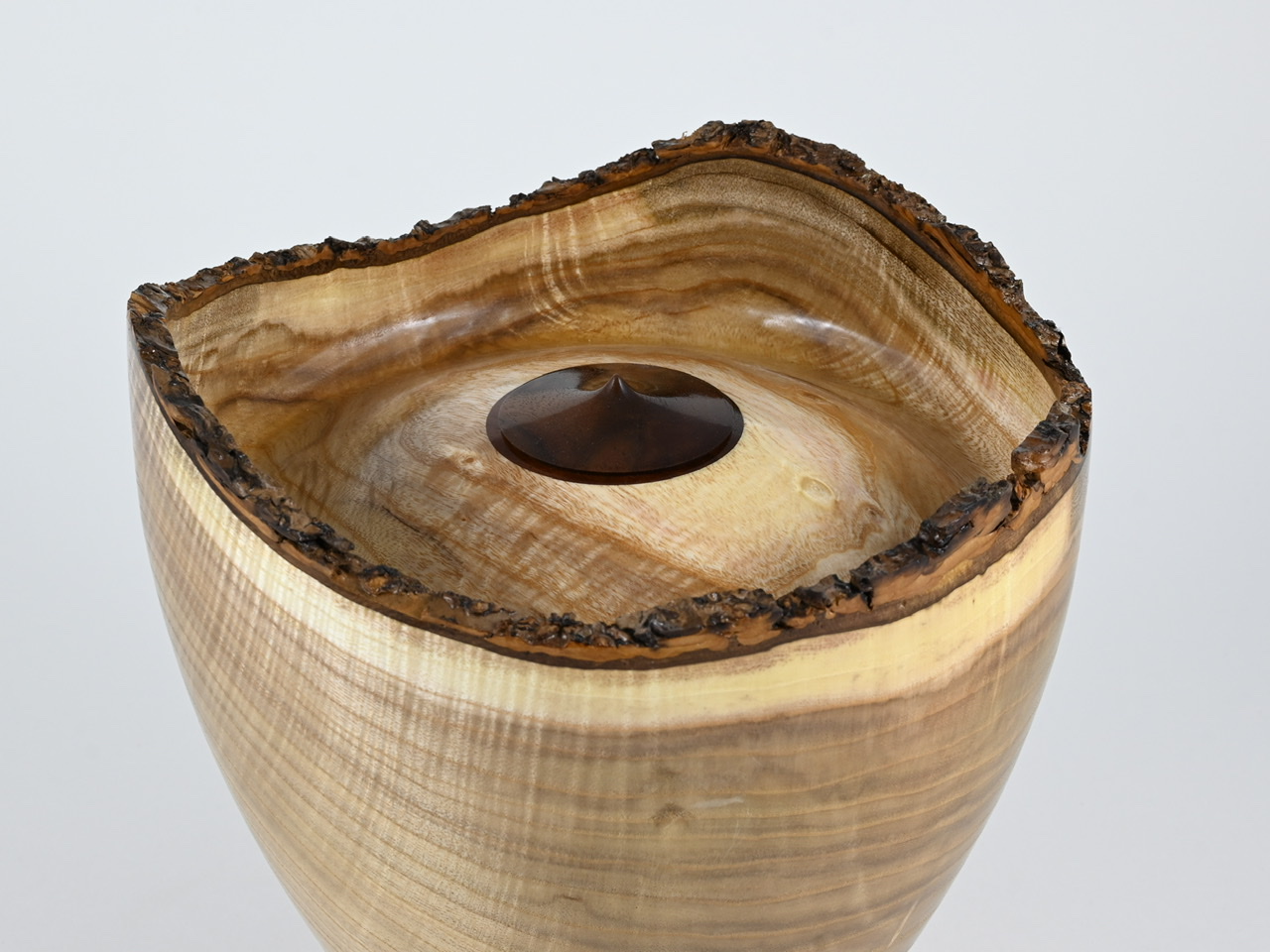 613 catalpa - 4 liter