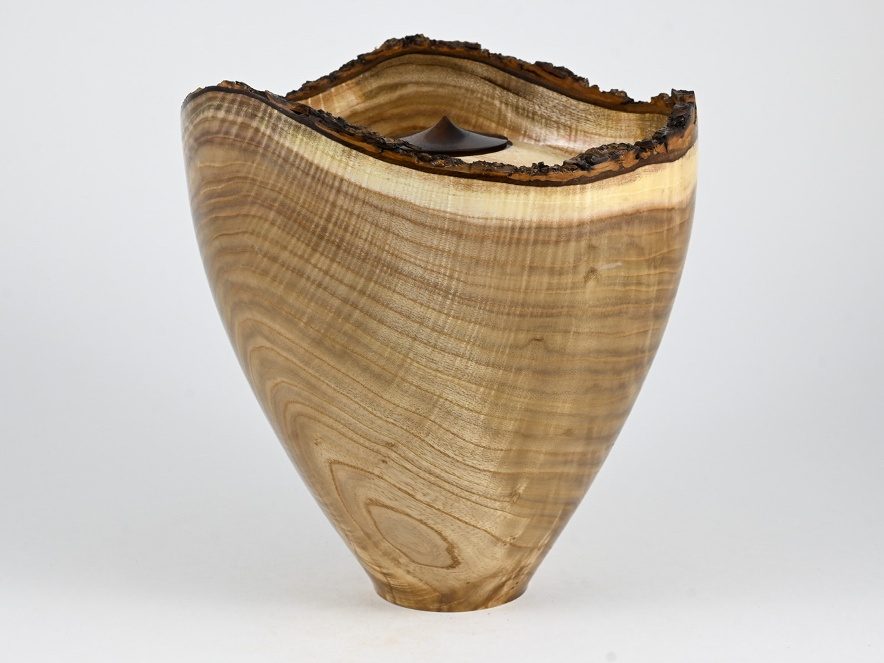 613 catalpa - 4 liter