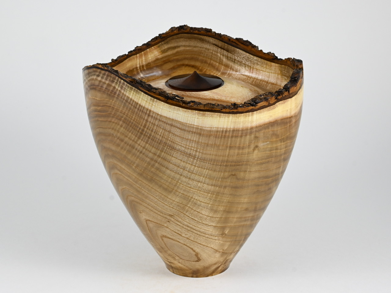 613 catalpa - 4 liter