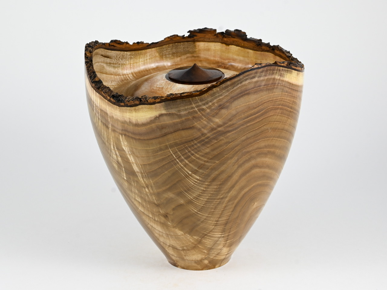 613 catalpa - 4 liter