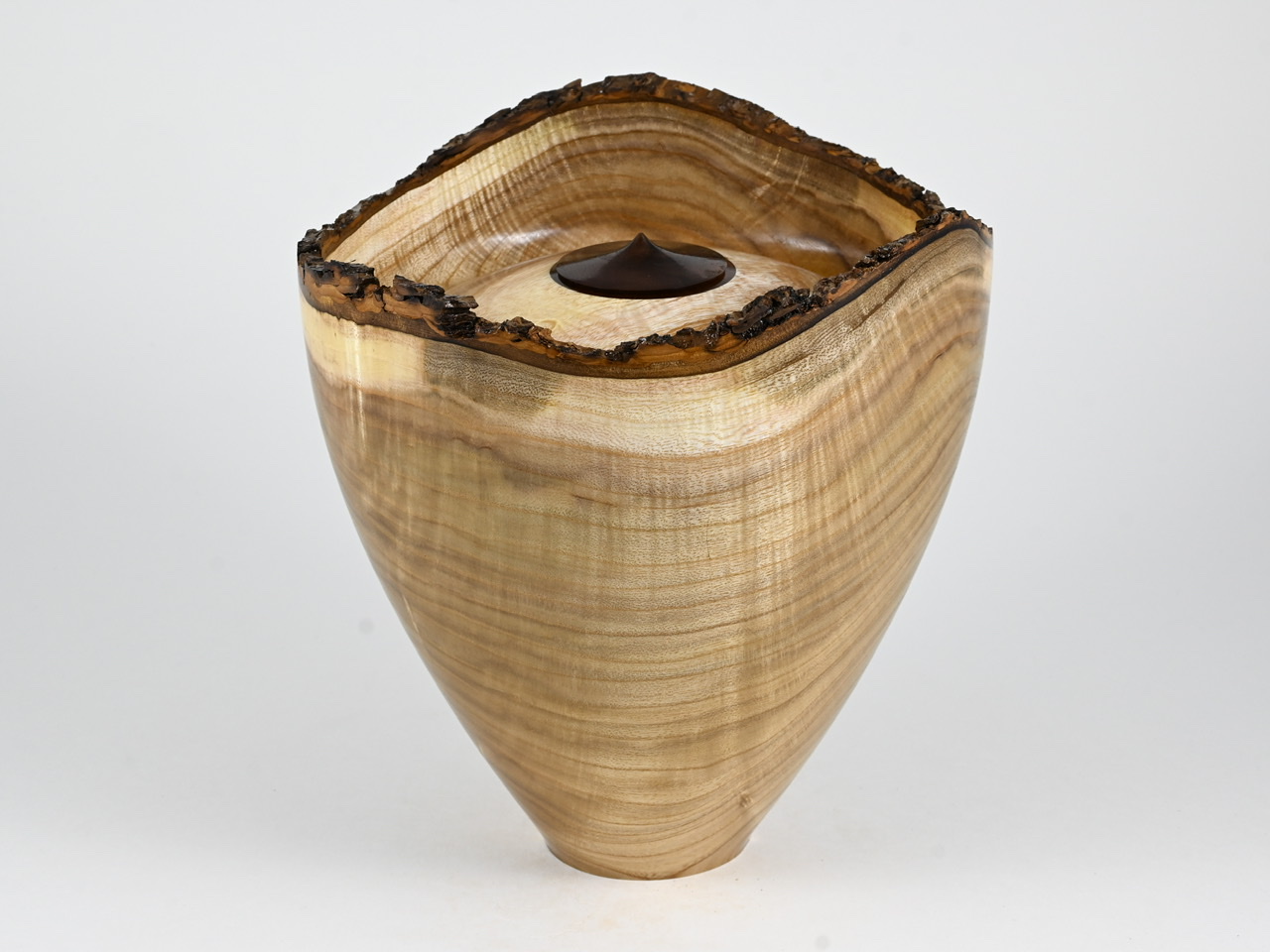 613 catalpa - 4 liter