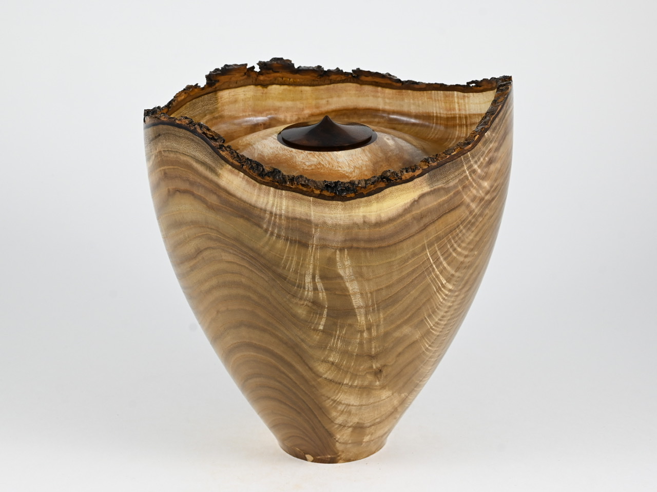 613 catalpa - 4 liter