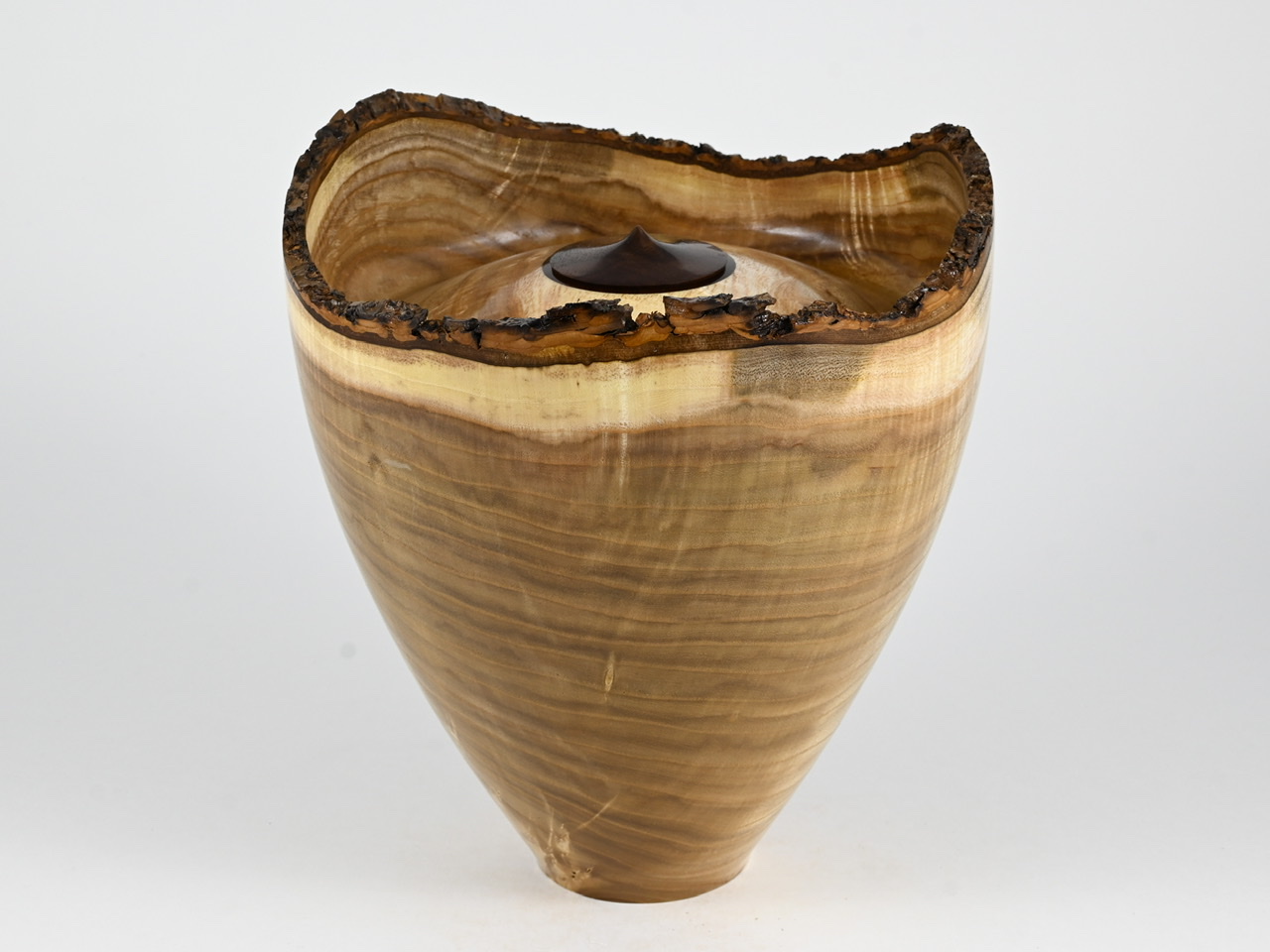 613 catalpa - 4 liter