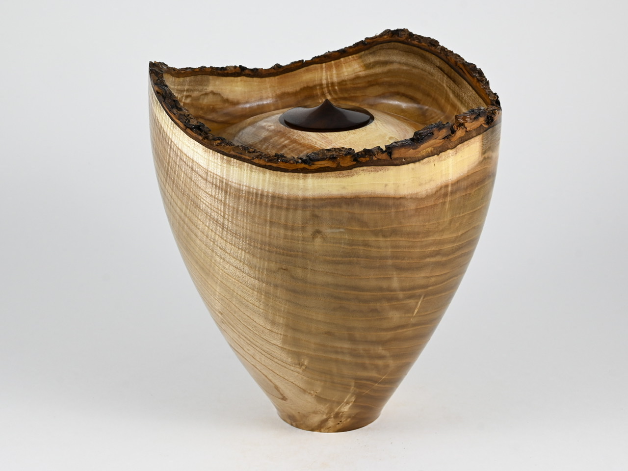 613 catalpa - 4 liter