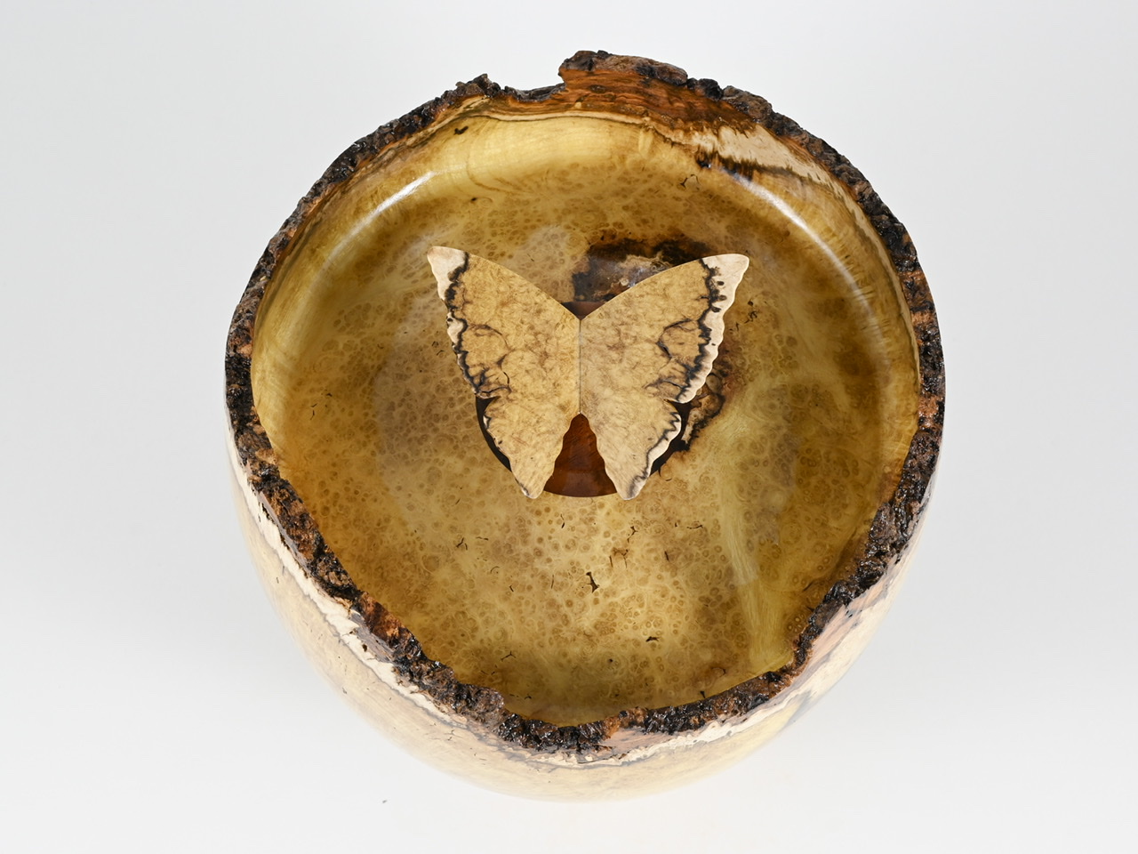 623 robinia - 4 liter