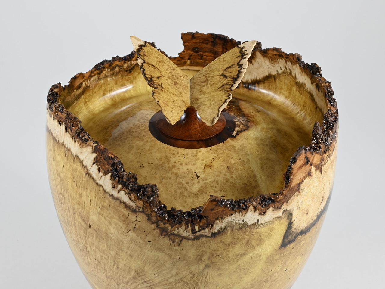 623 robinia - 4 liter