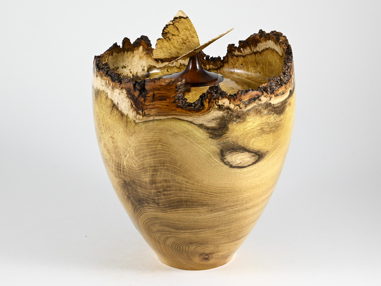 623 robinia - 4 liter