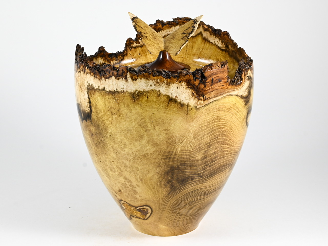 623 robinia - 4 liter