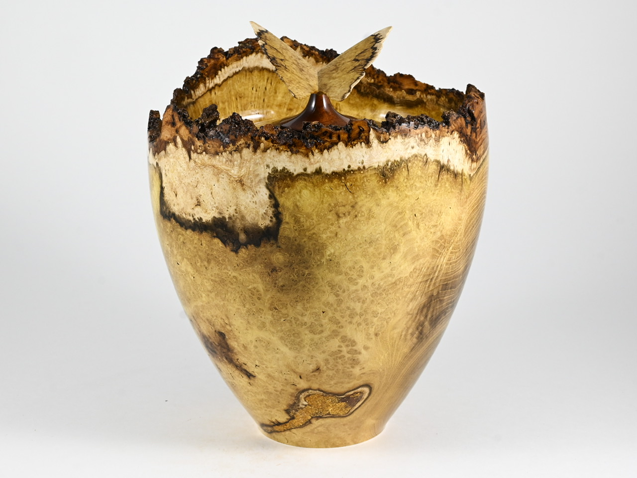 623 robinia - 4 liter