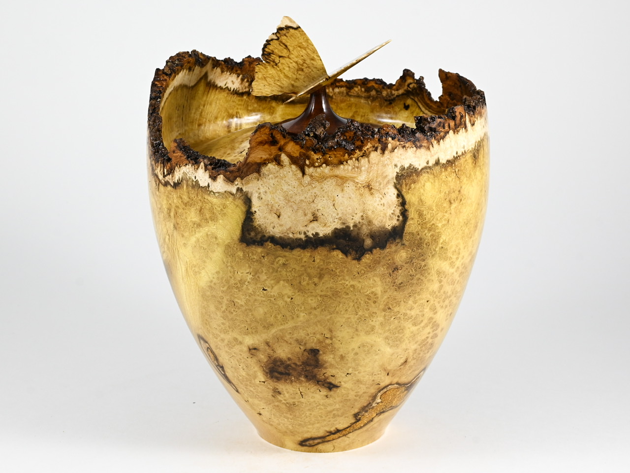 623 robinia - 4 liter