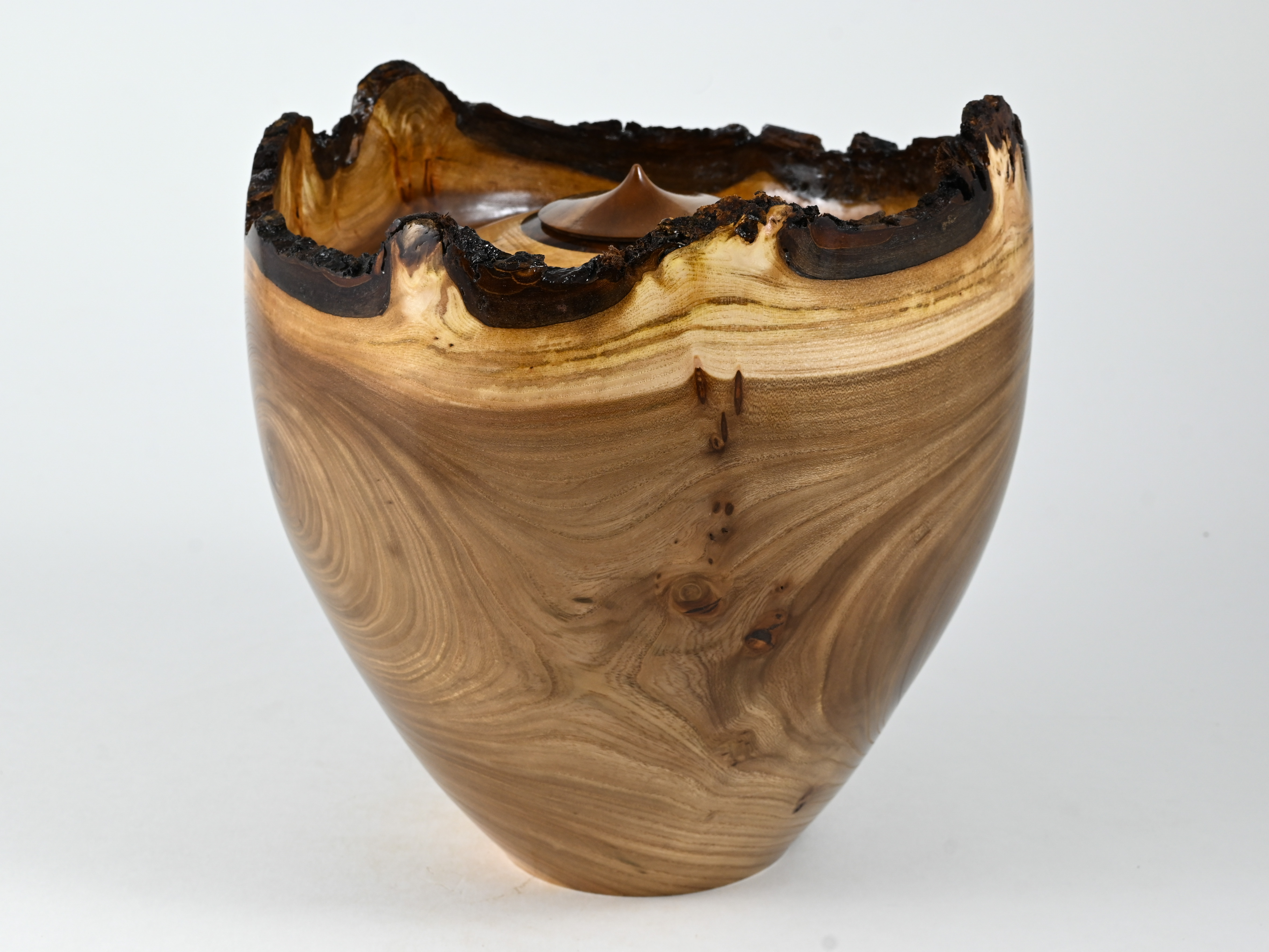 668 Engelse iep -  4 liter