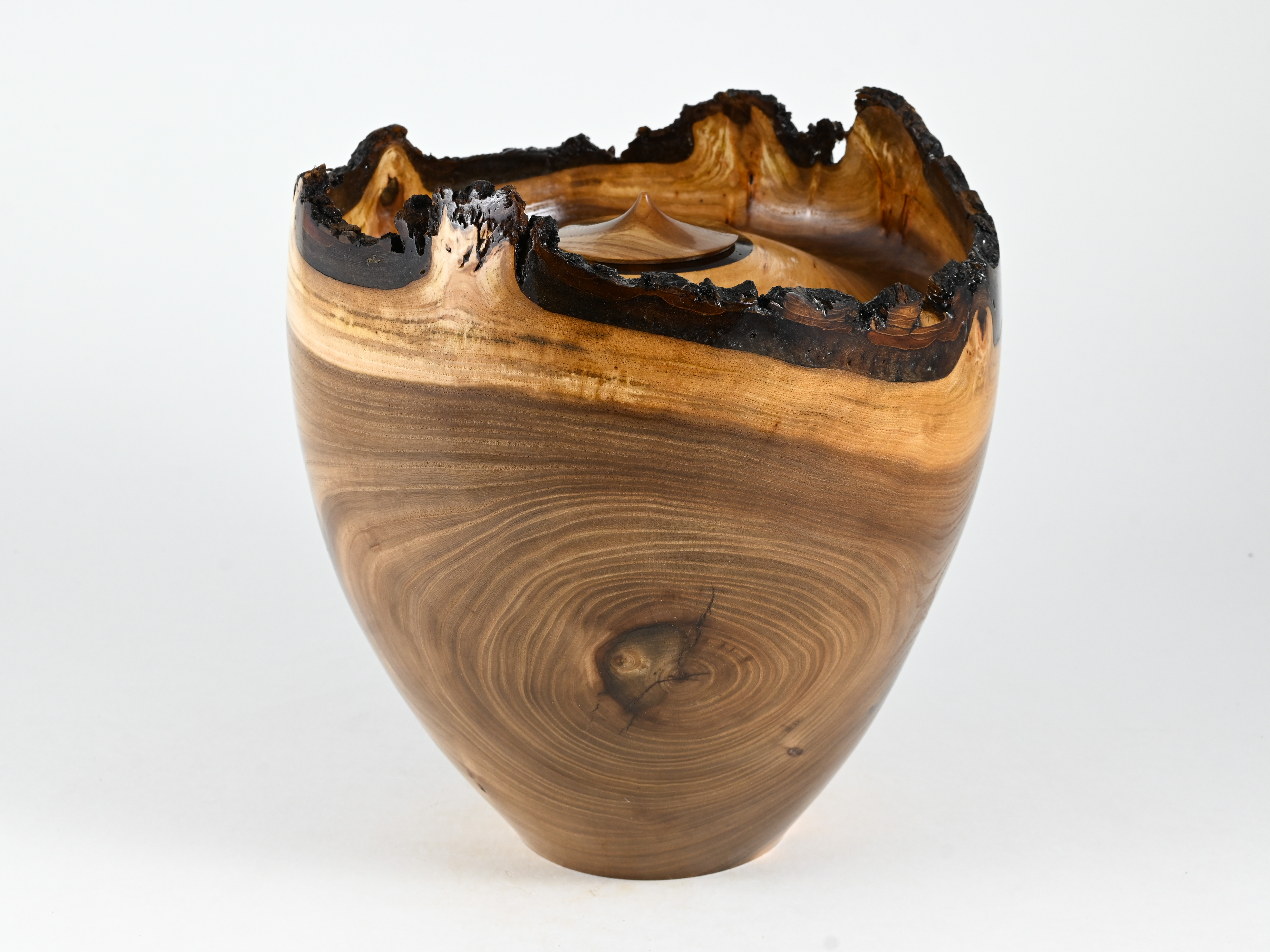 668 Engelse iep -  4 liter